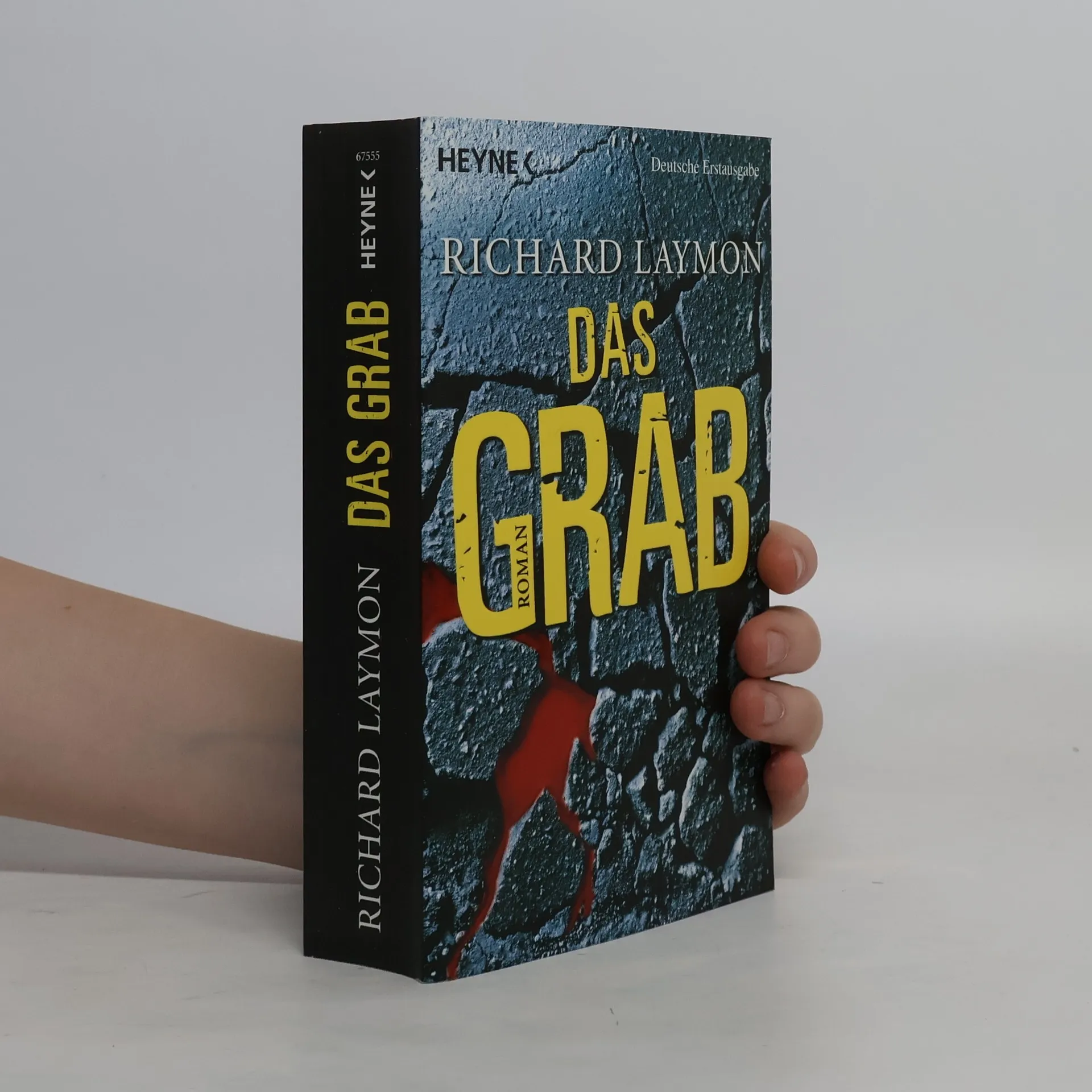Das Grab | Book | Paperback | Richard Laymon | DE