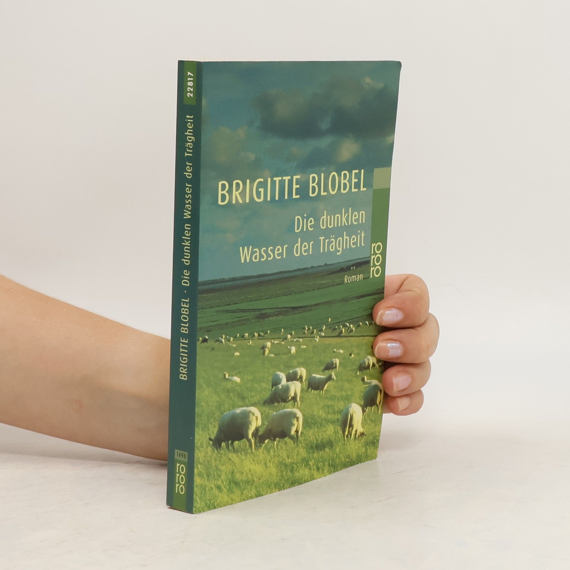 Brigitte Blobel Die dunklen Wasser der Trägheit