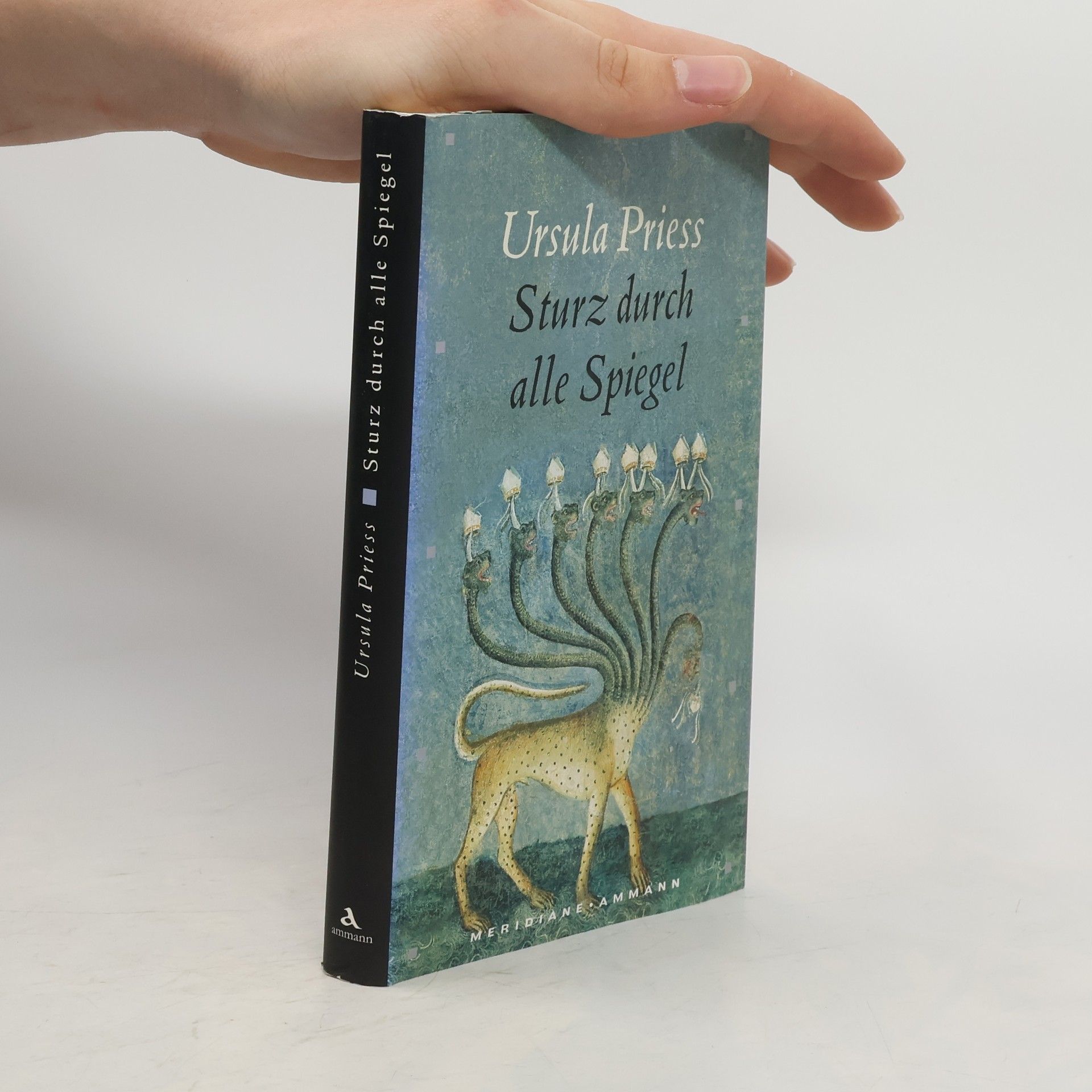 Ursula Priess Sturz durch alle Spiegel