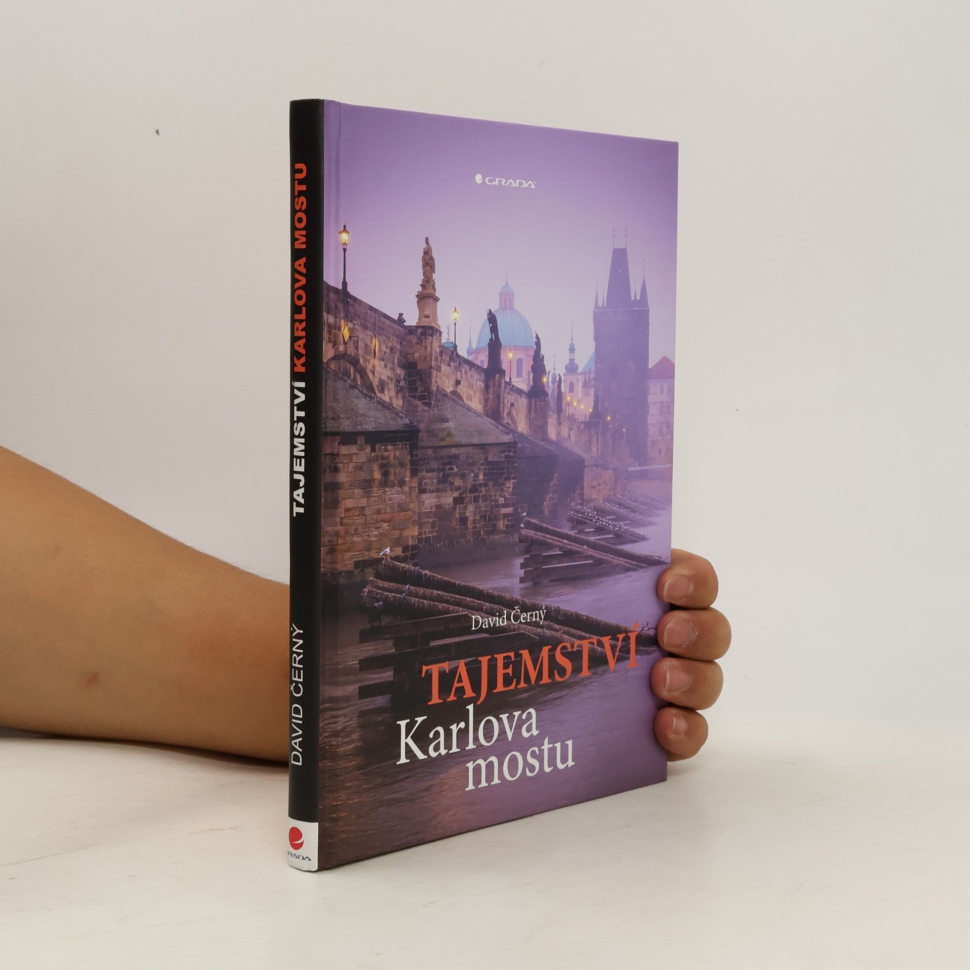 David Černý Tajemství Karlova mostu