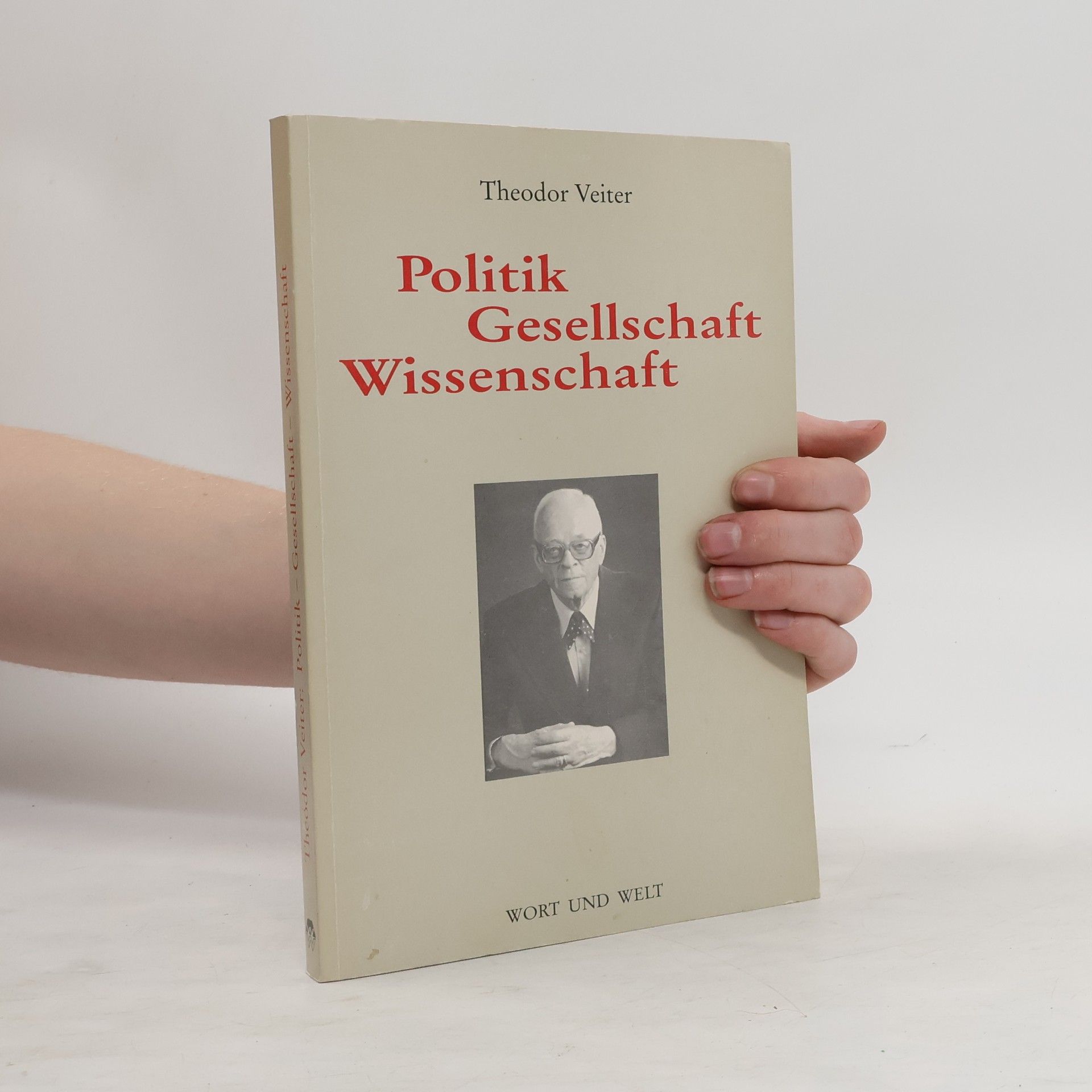 Theodor Veiter Politik, Gesellschaft, Wissenschaft