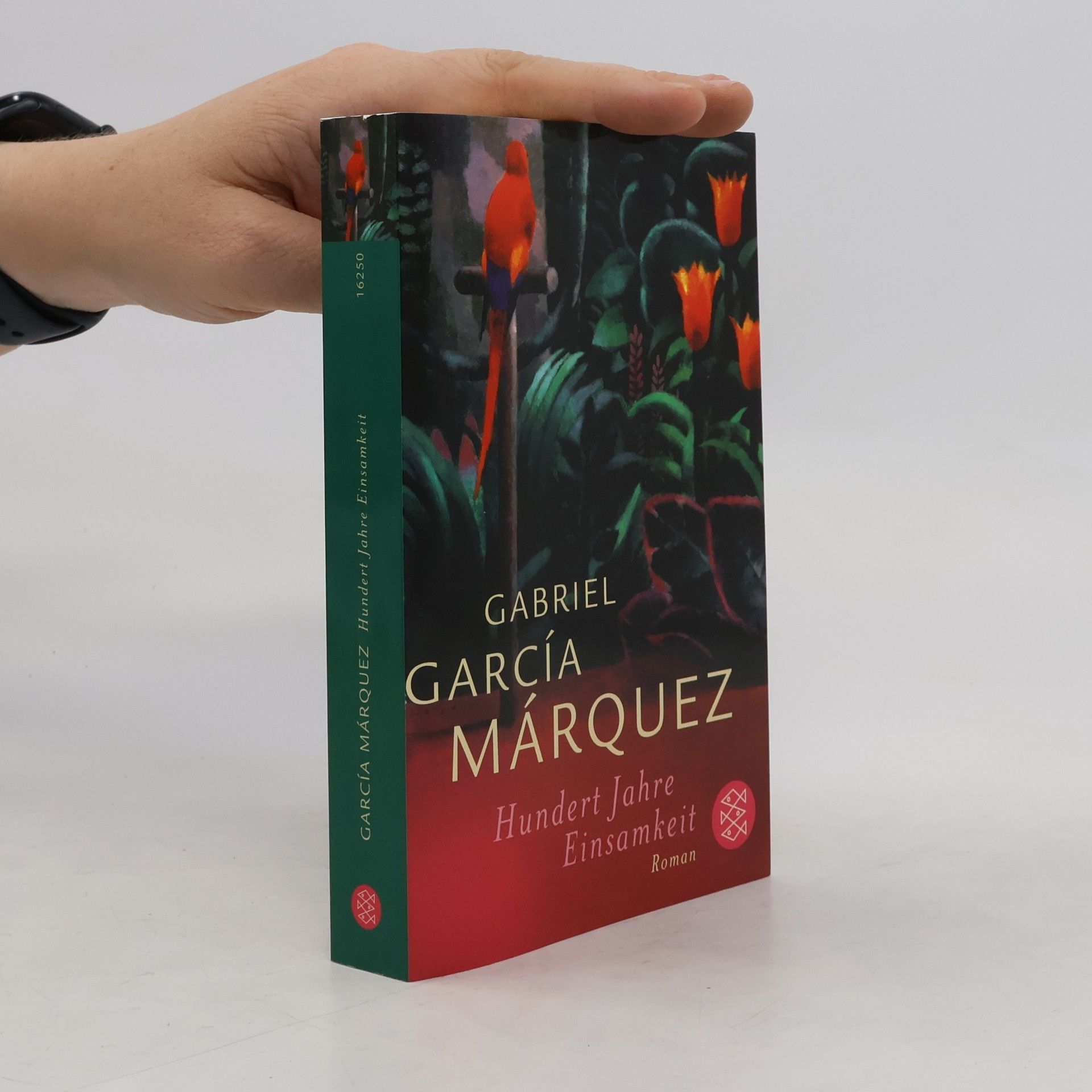 Gabriel García Márquez Hundert Jahre Einsamkeit