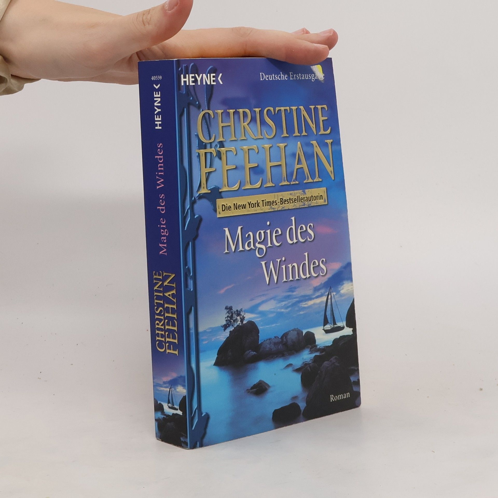 Christine Feehan Magie des Windes