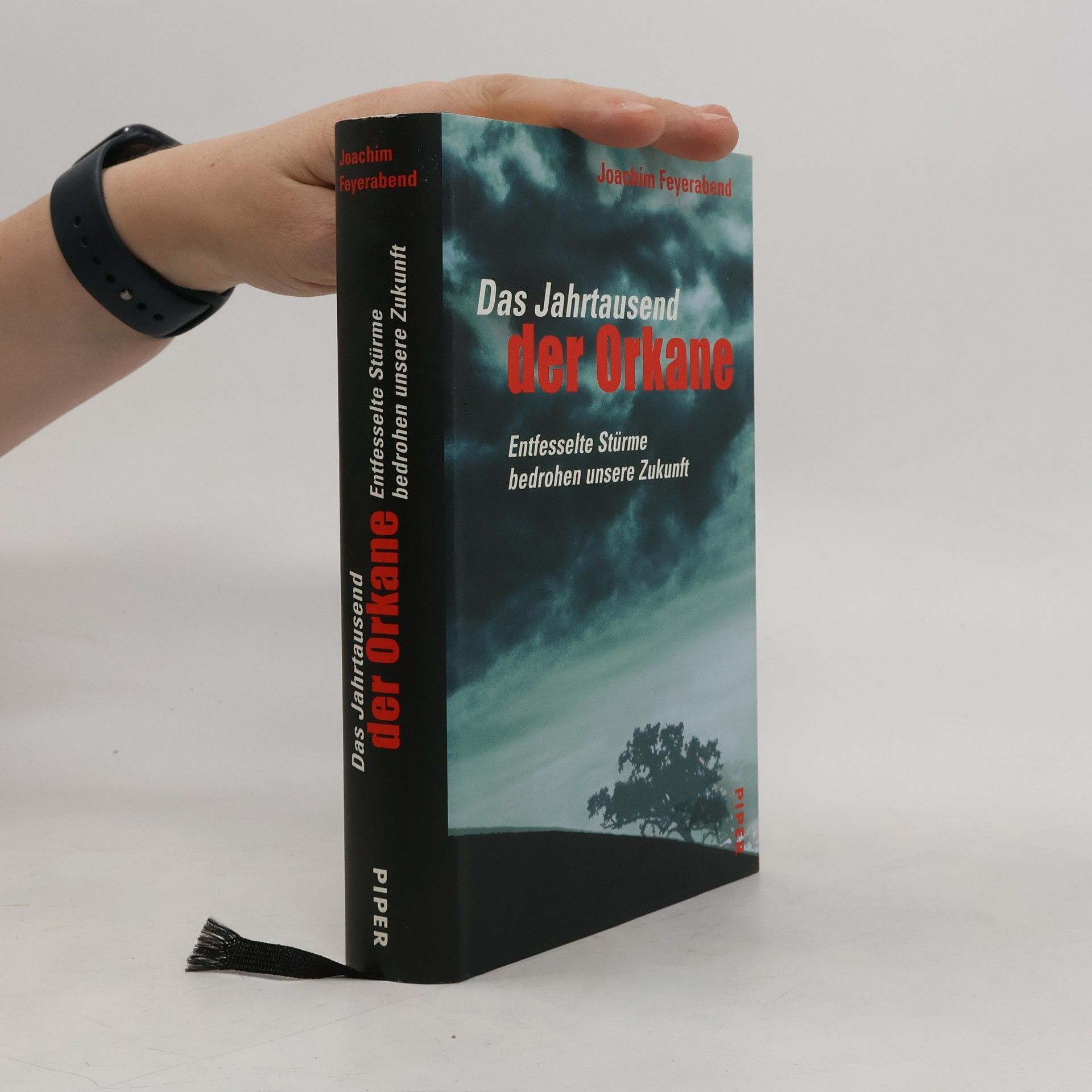 Joachim Feyerabend Das Jahrtausend der Orkane