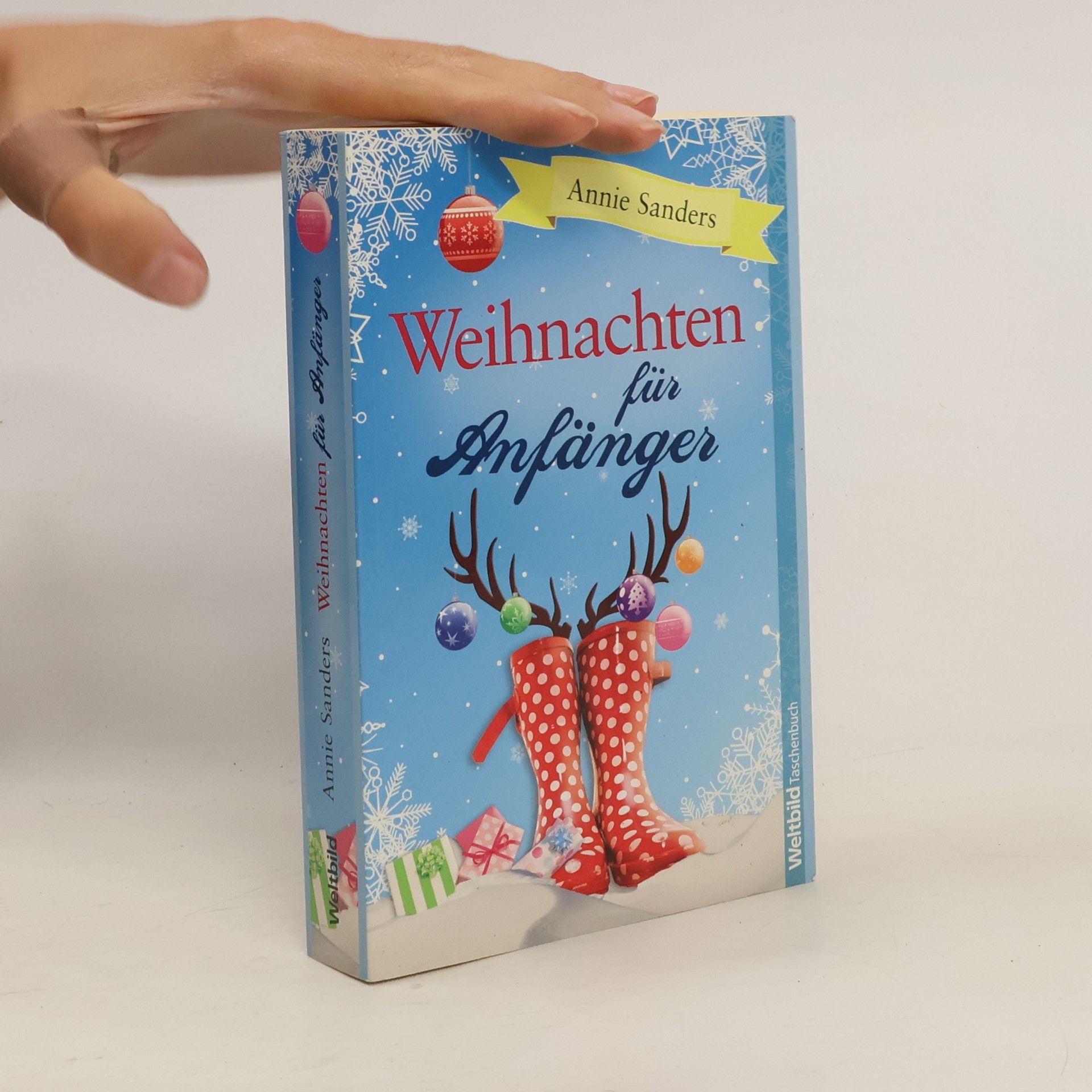 Annie Sanders Weihnachten für Anfänger