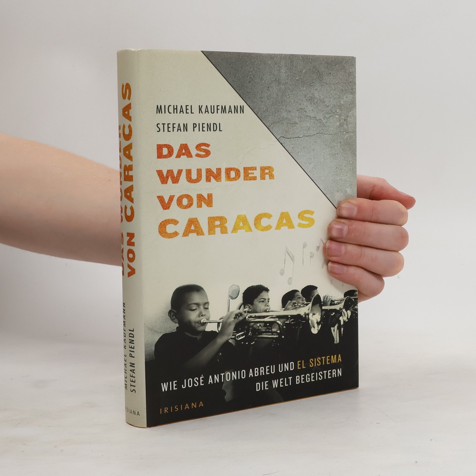 Frank Kaufmann Das Wunder von Caracas