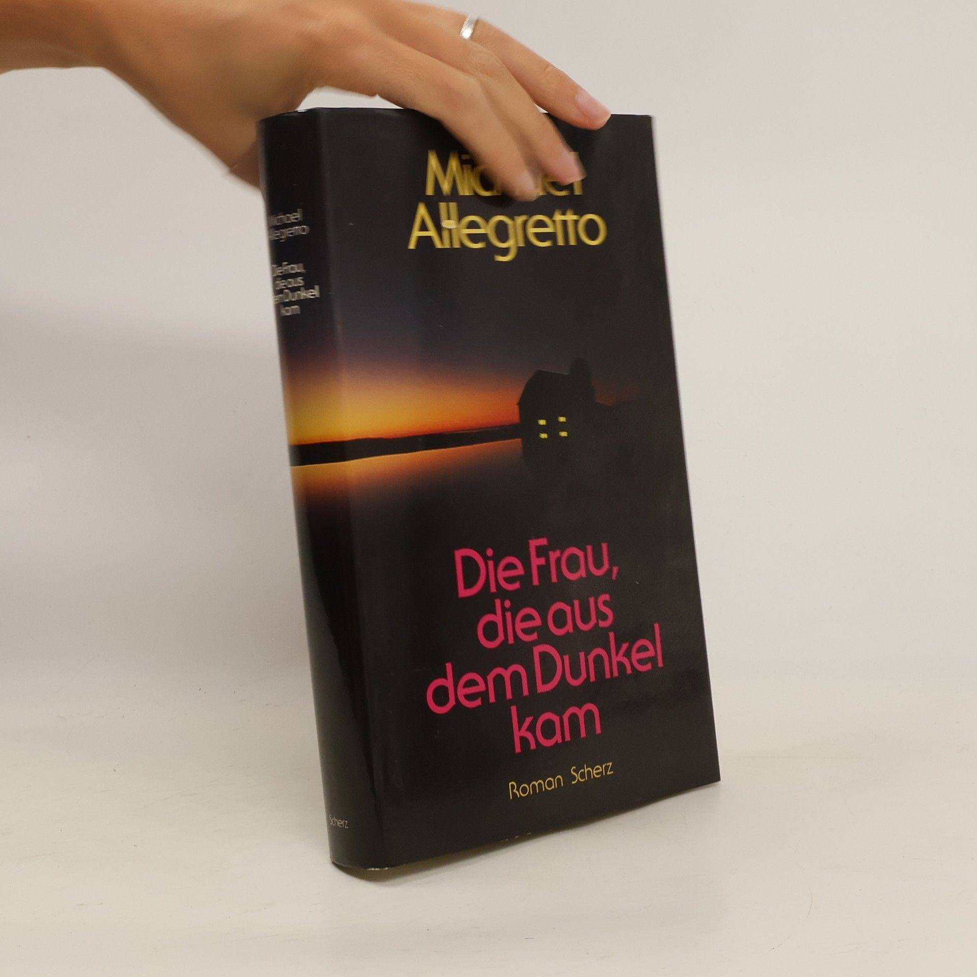 Michael Allegretto Die Frau, die aus dem Dunkel kam