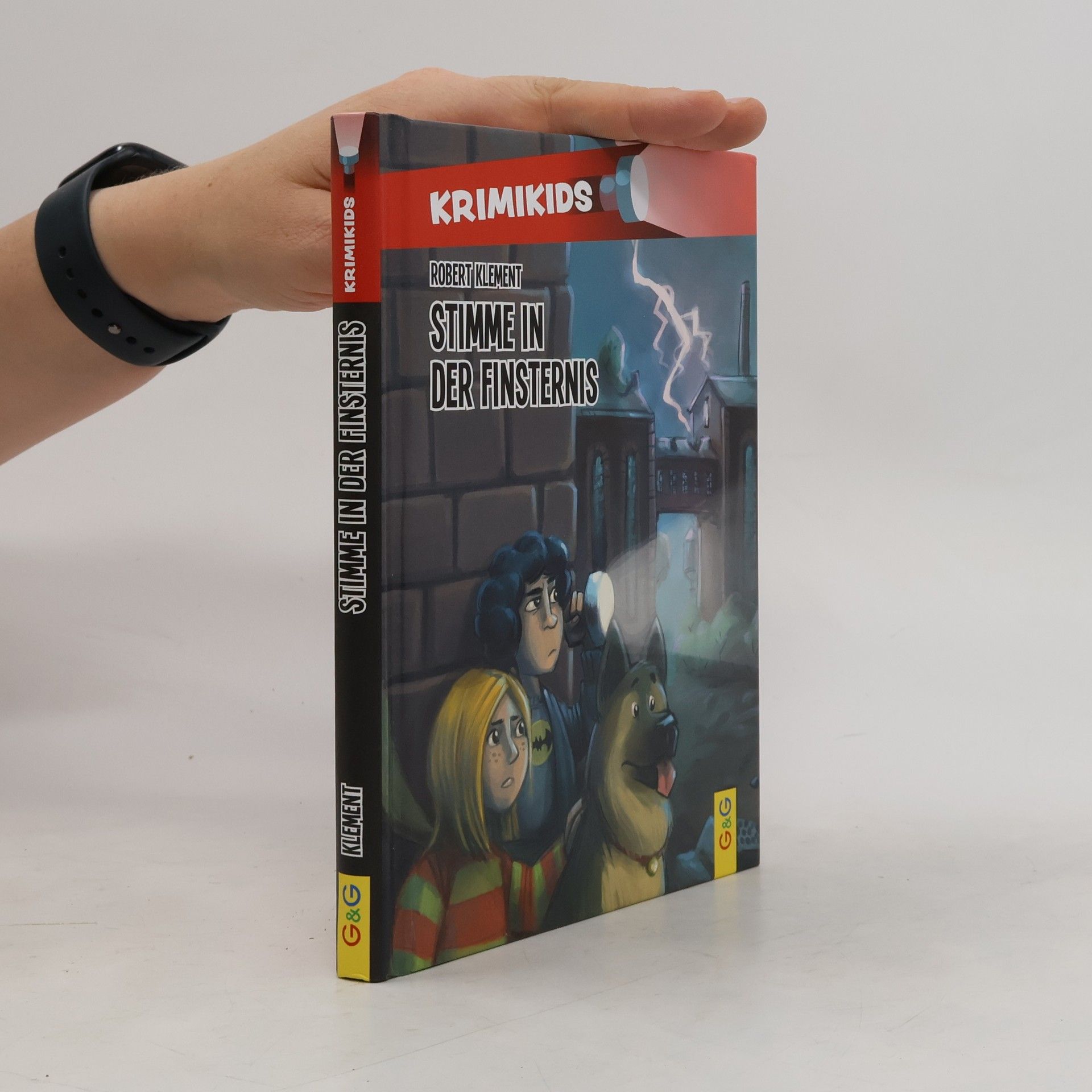 Robert Klement Stimme in der Finsternis