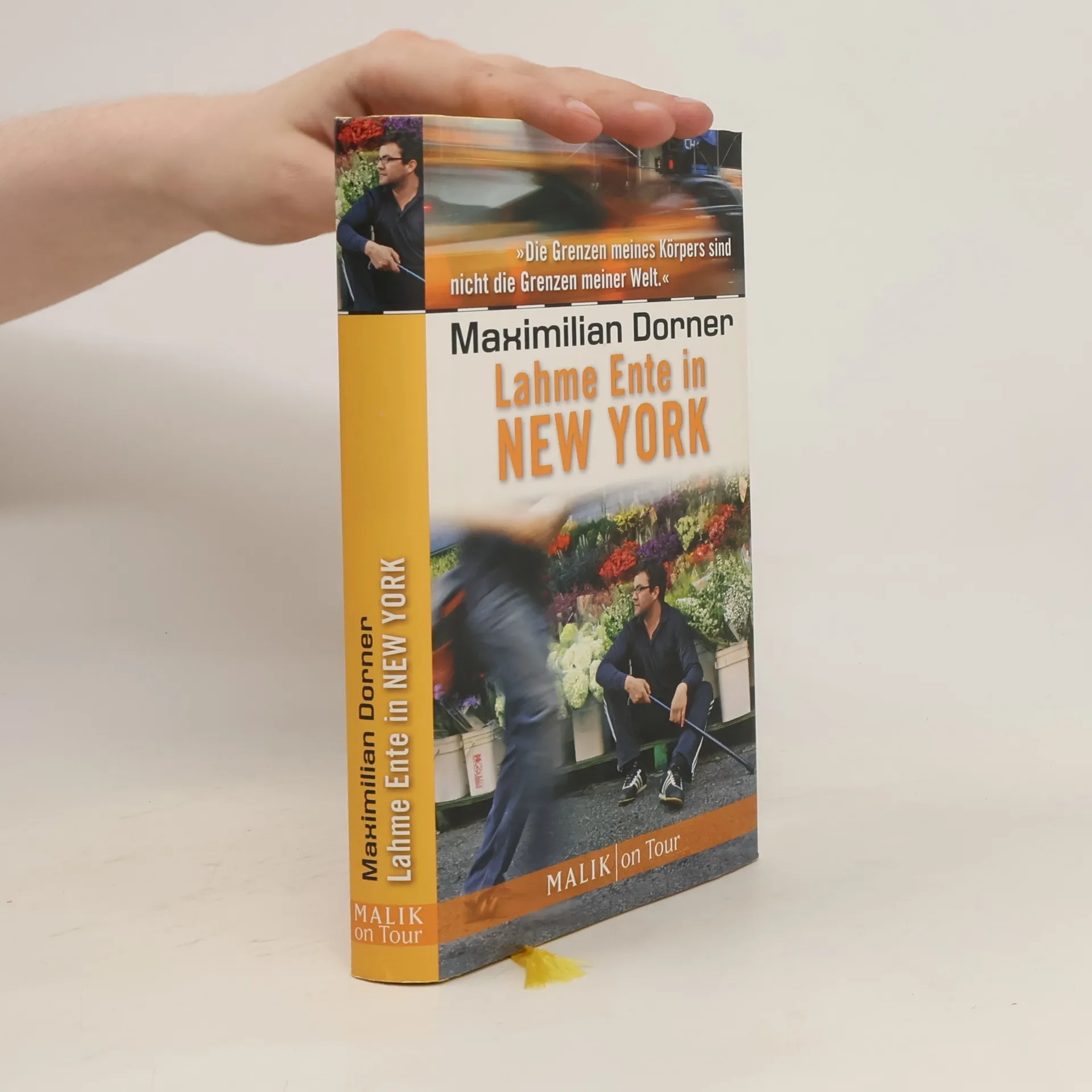 Lahme Ente in New York | Boek | Maximilian Dorner | DE