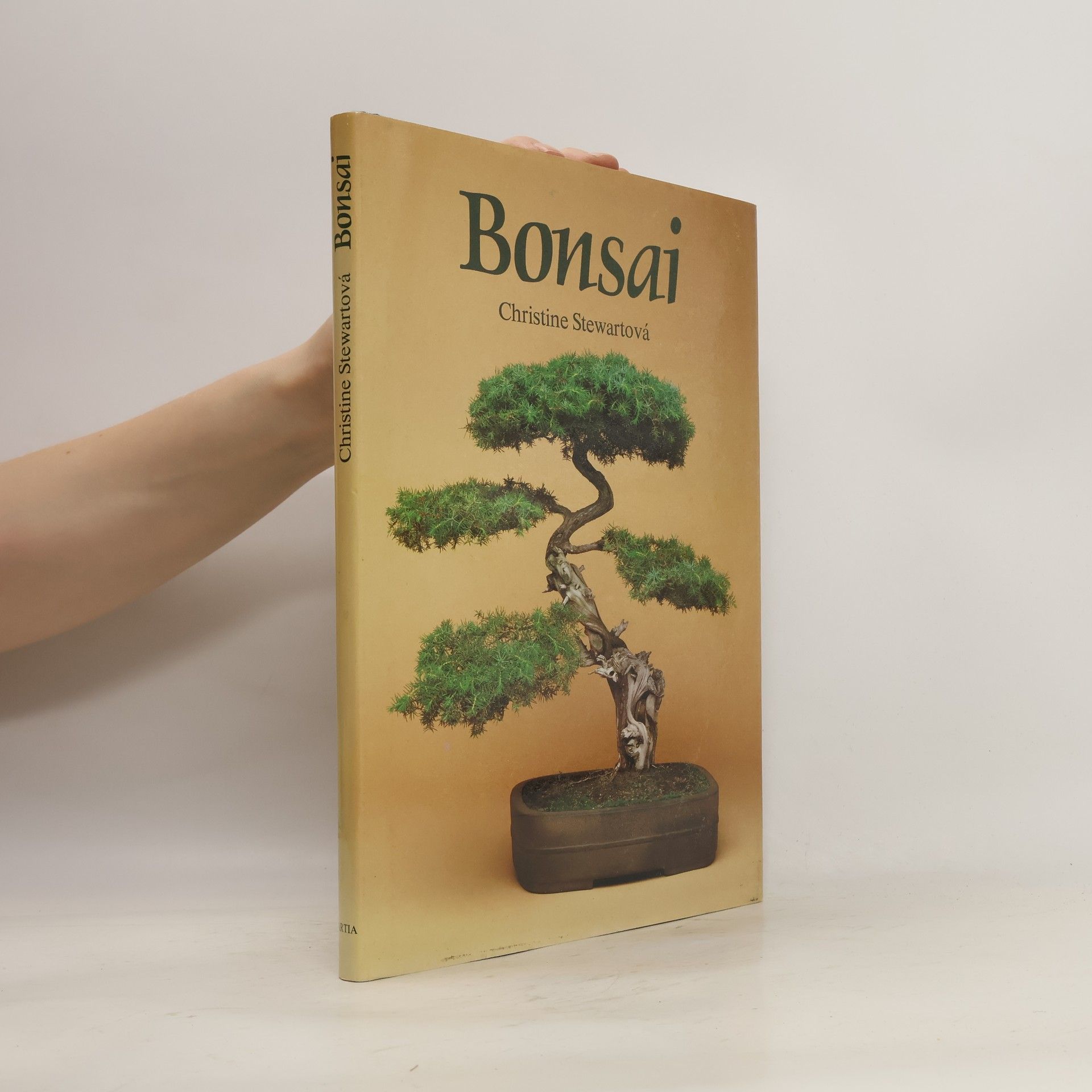 Christine Stewart Bonsai