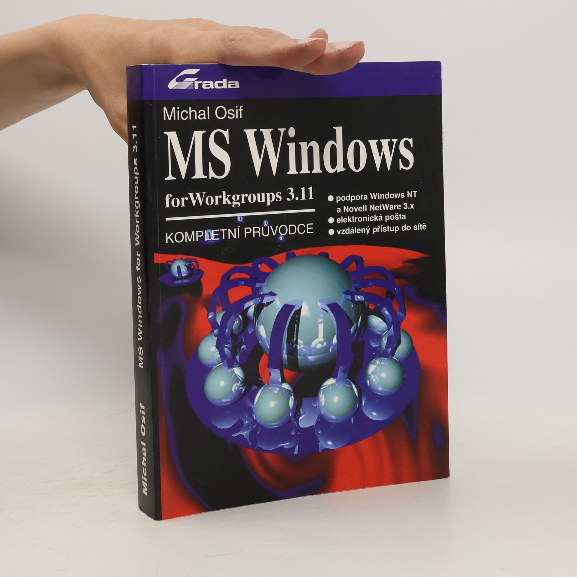 Michal Osif MS Windows for Workgroups 3.11: Kompletní průvodce