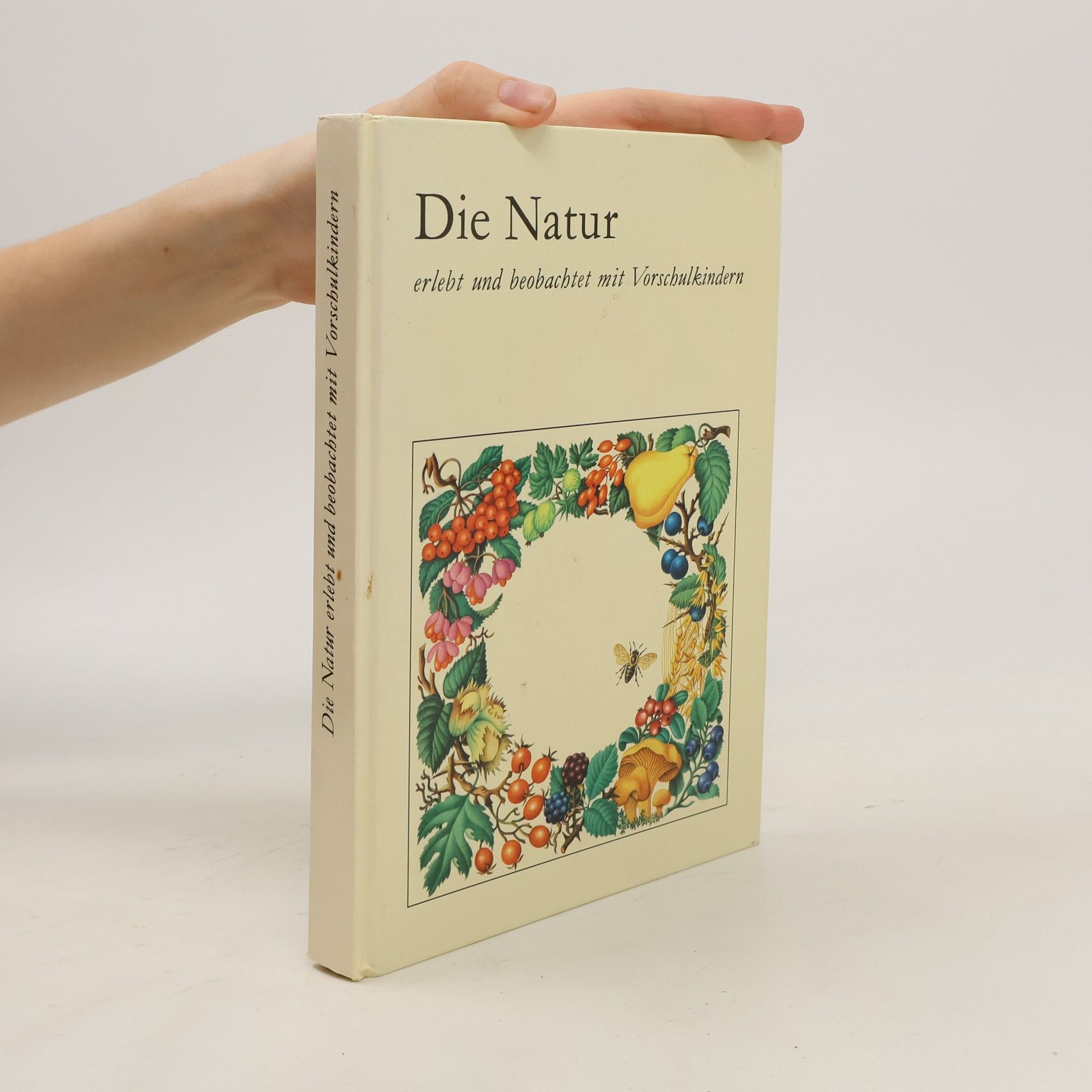 Marga Arndt Die Natur erlebt und beobachtet mit Vorschulkindern