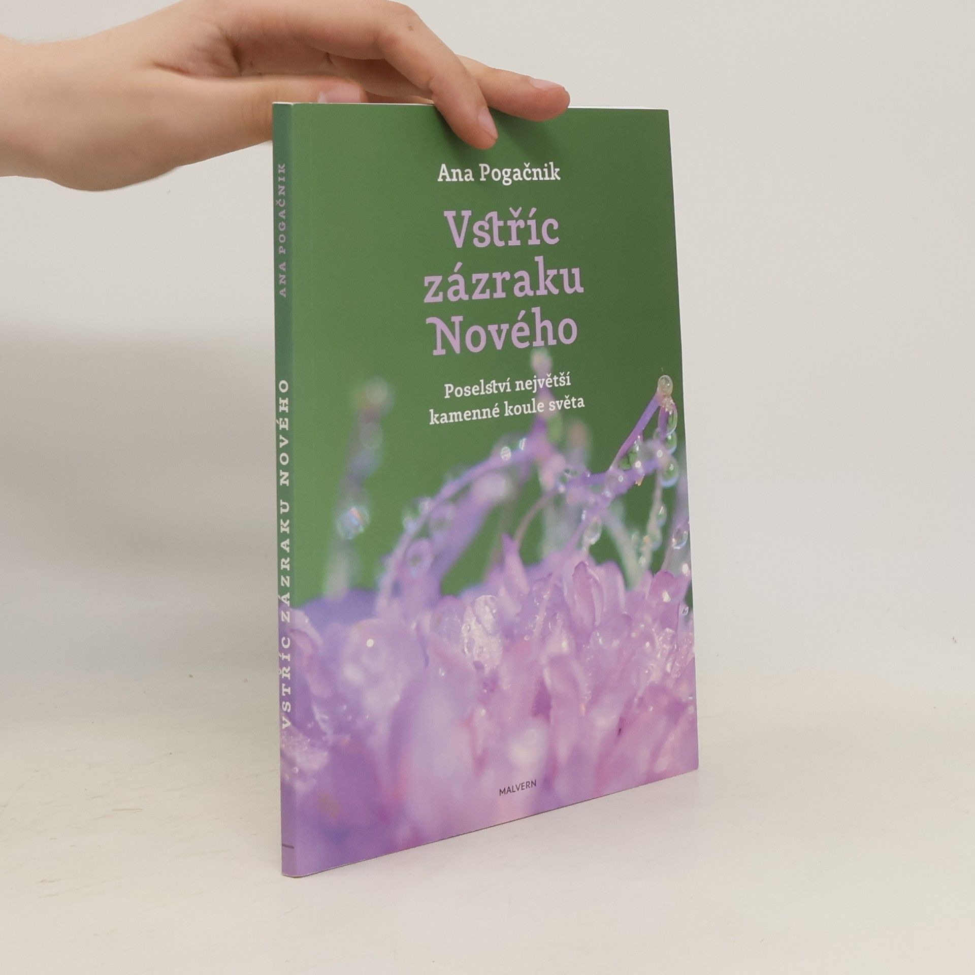 Ana Pogačnik Meier Vstříc zázraku Nového. Poselství největší kamenné koule světa
