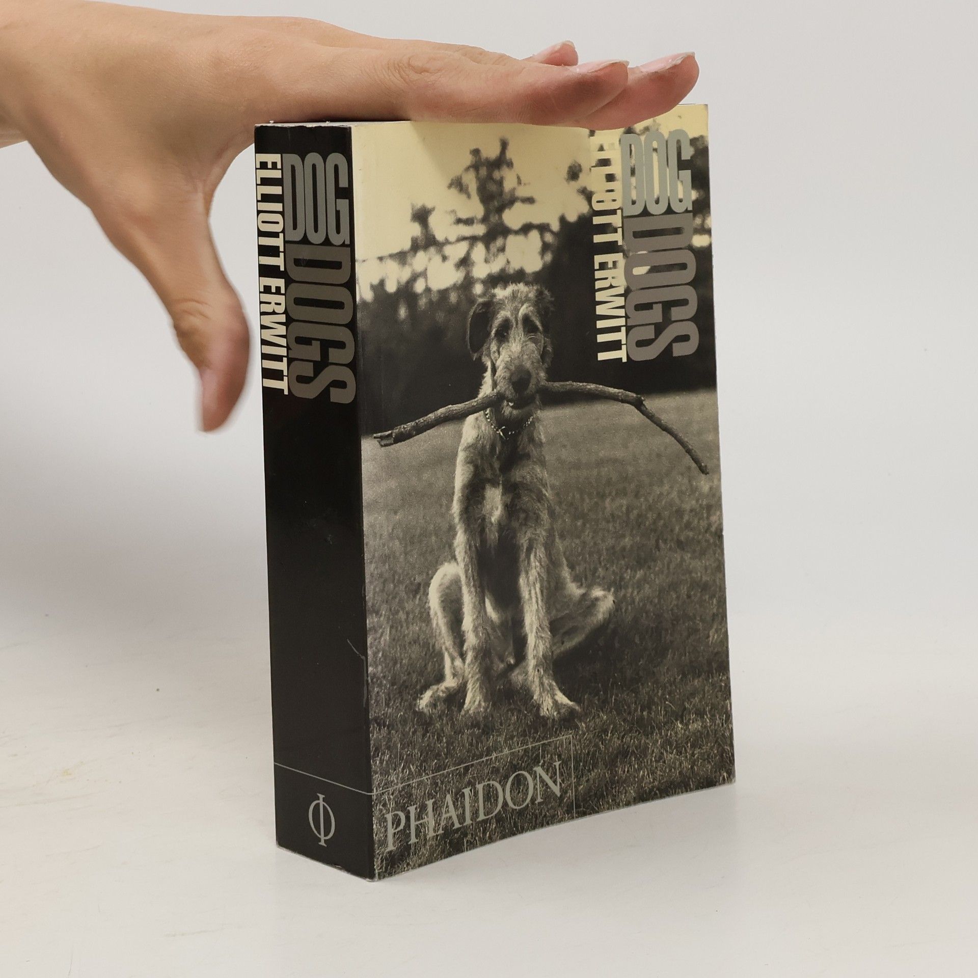 Elliott Erwitt DogDogs
