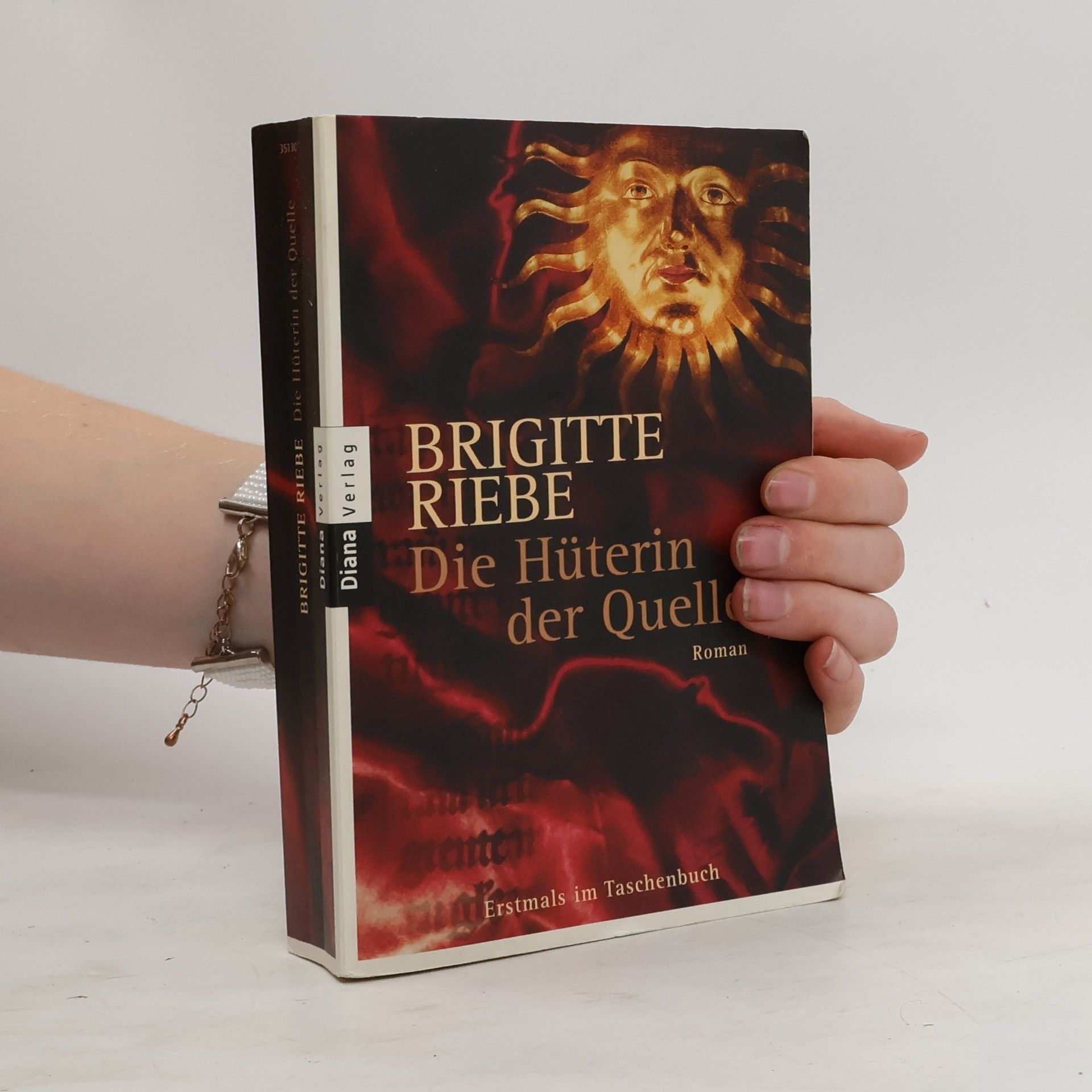 Brigitte Riebe Die Hüterin der Quelle