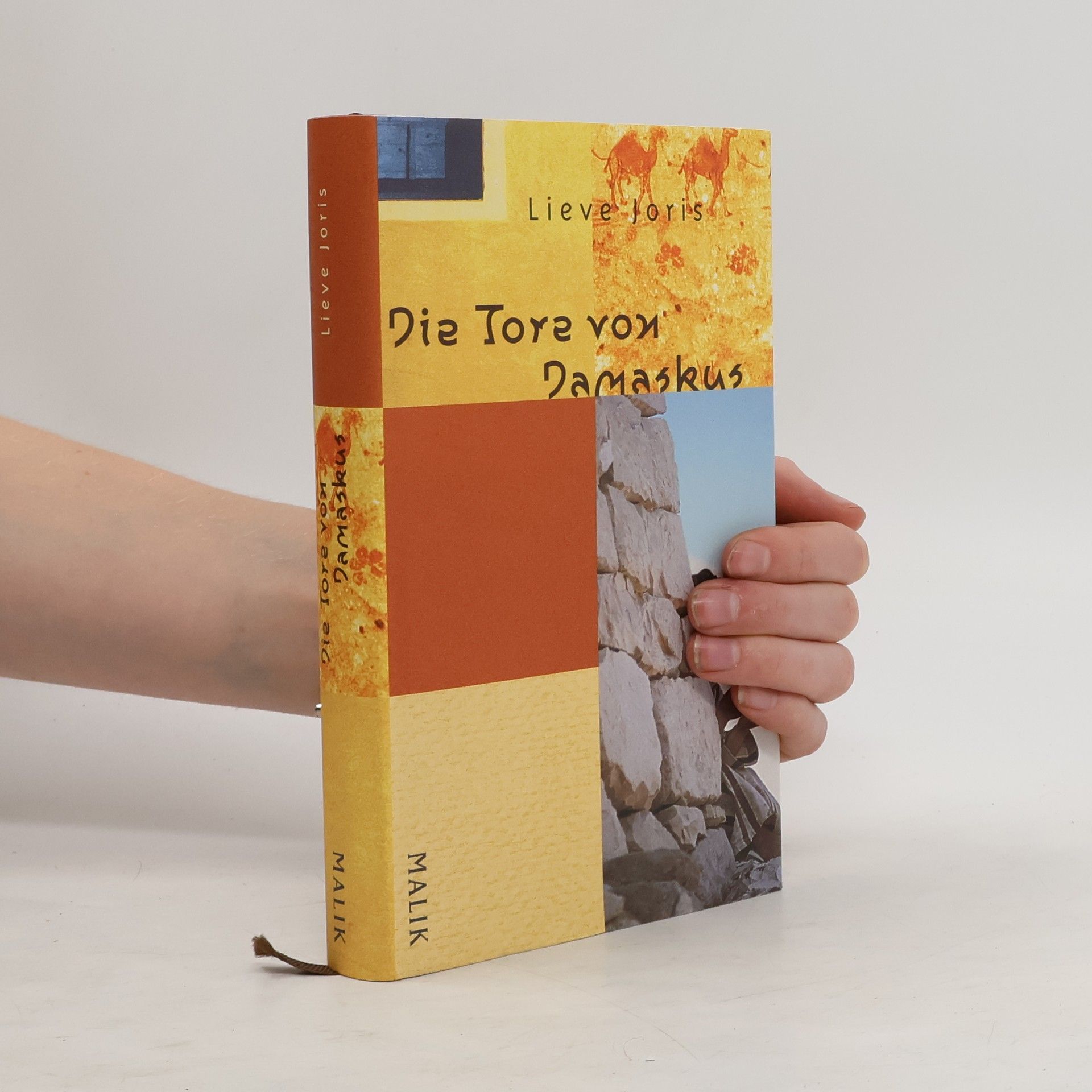 Lieve Joris Die Tore von Damaskus