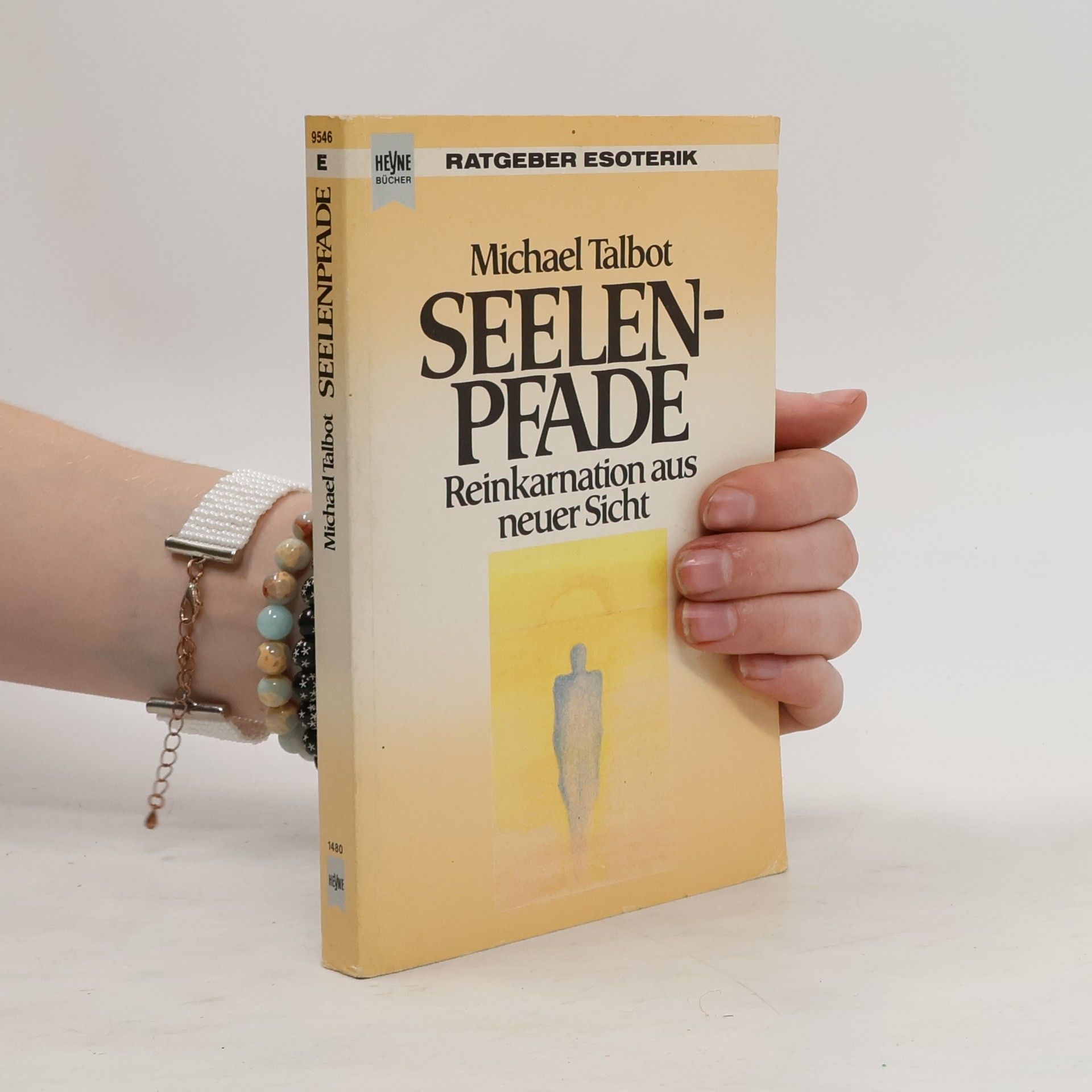 Michael Talbot Seelenpfade