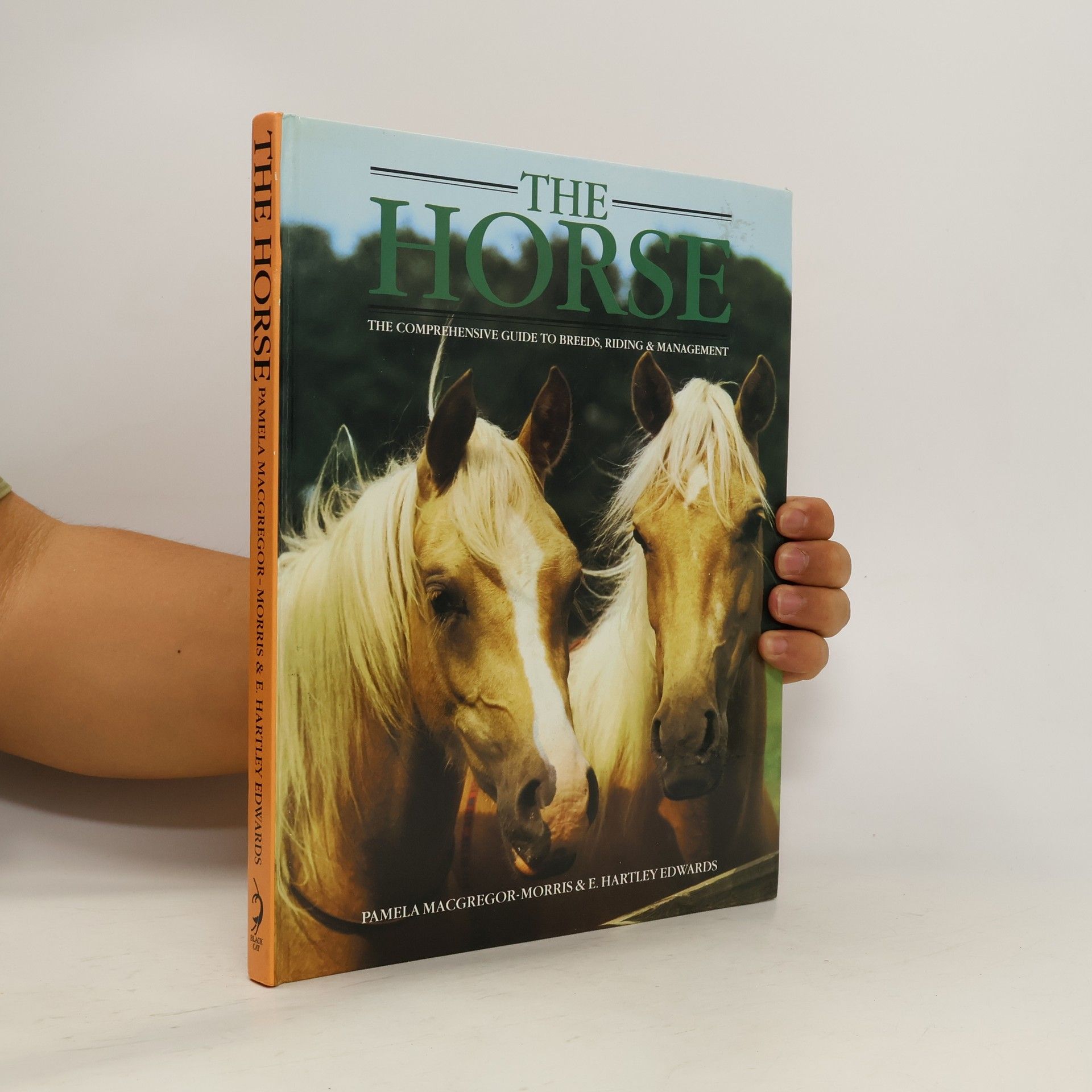 Pamela MacGregor The Horse
