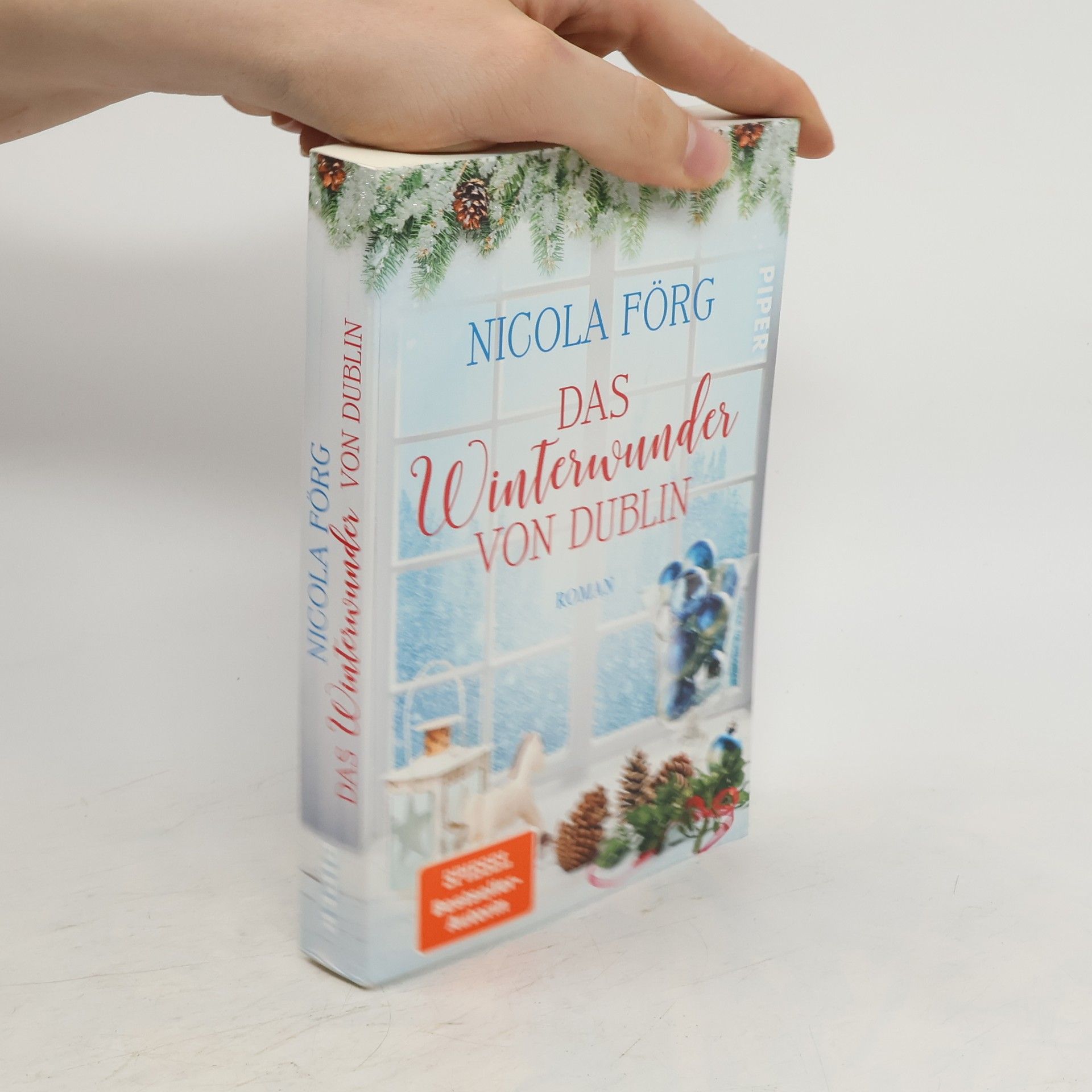 Nicola Förg Das Winterwunder von Dublin