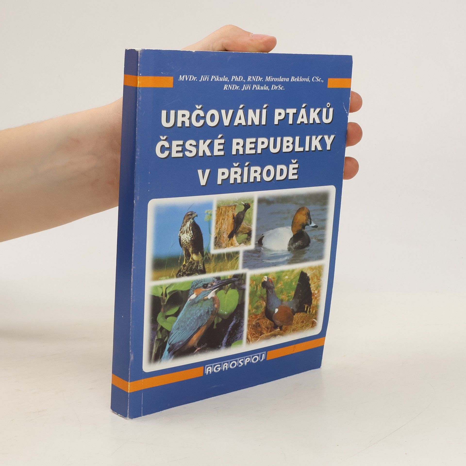 Jiří Pikula Určování ptáků České republiky v přírodě