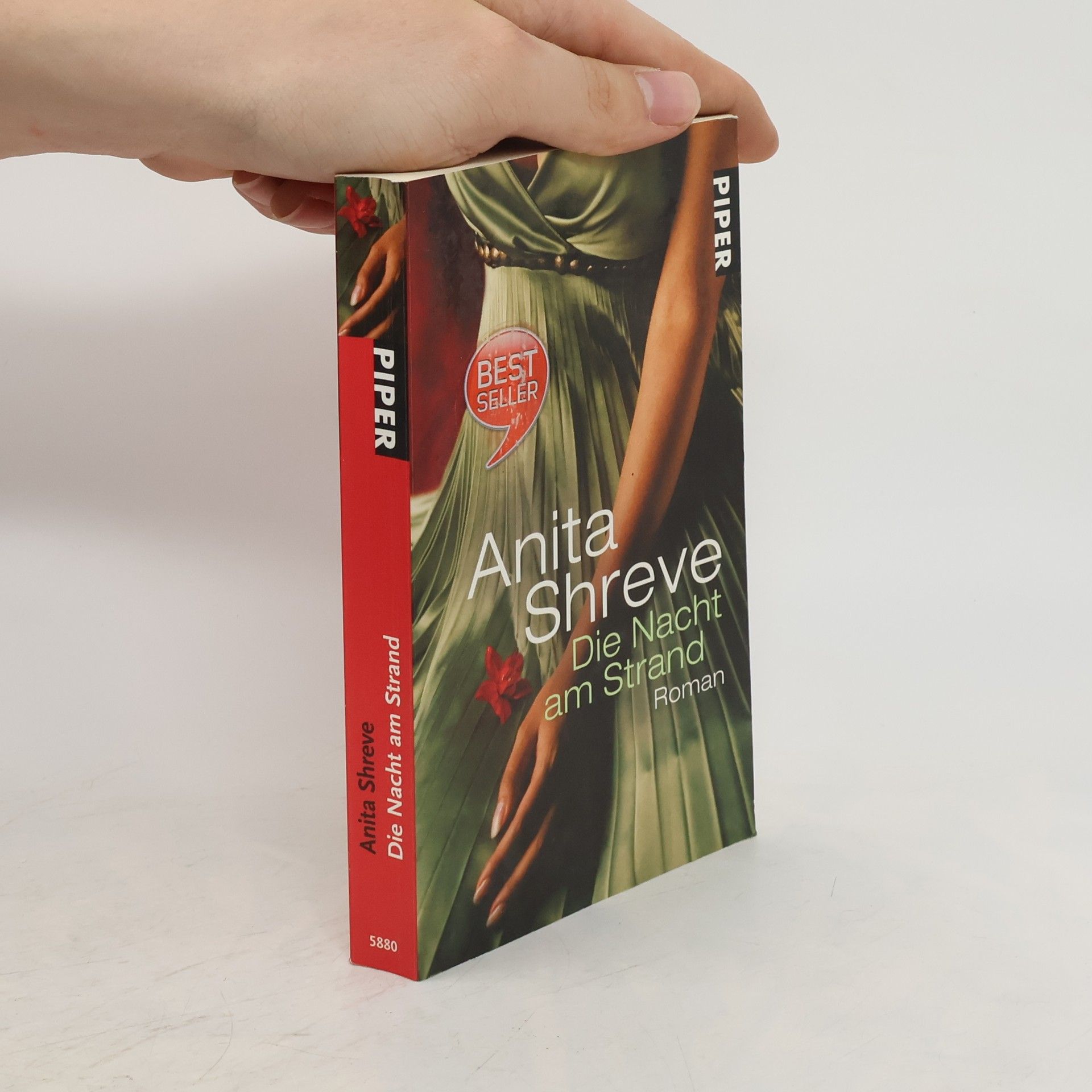 Anita Shreve Die Nacht am Strand