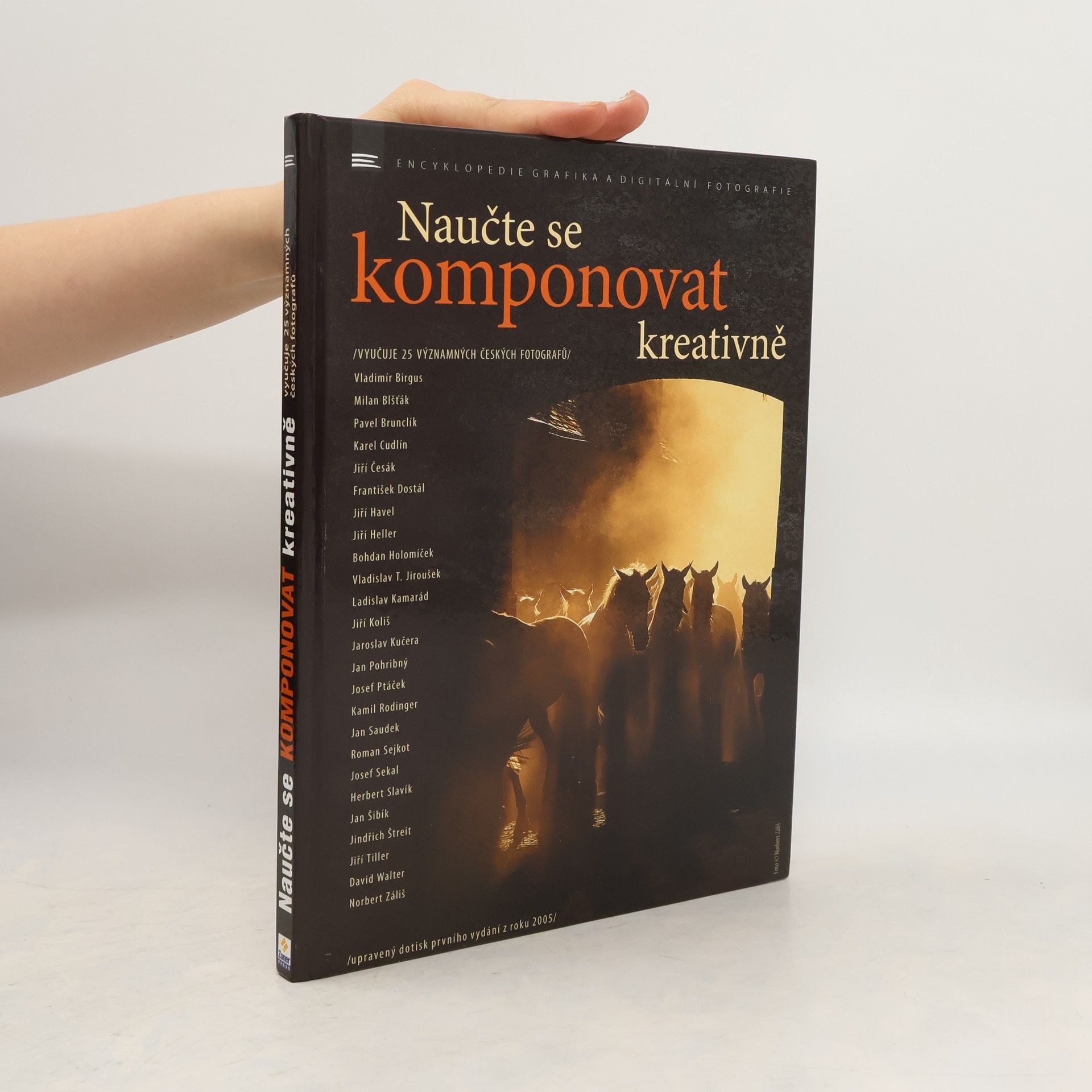 Vladimír Birgus Naučte se komponovat kreativně