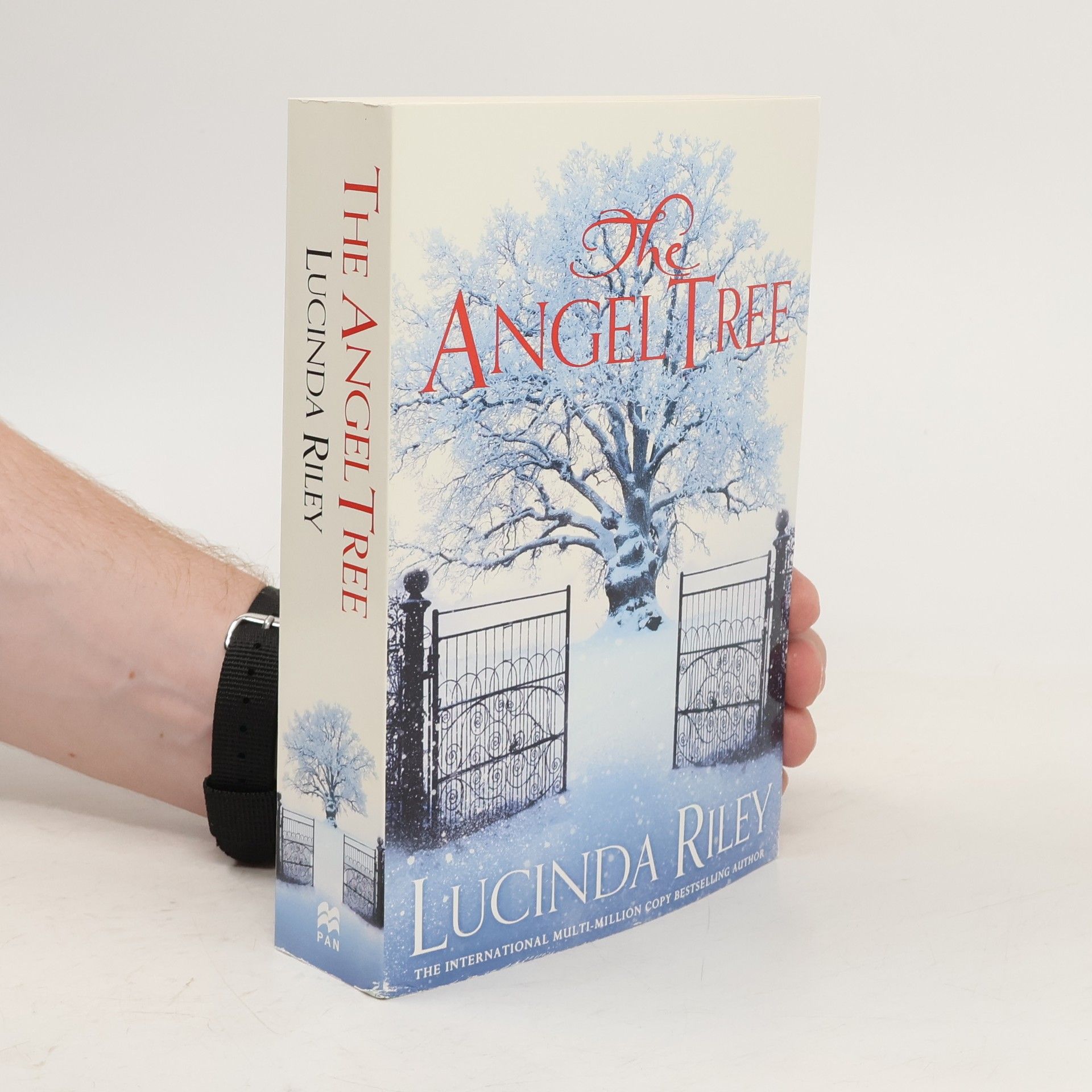 Lucinda Riley The Angel Tree