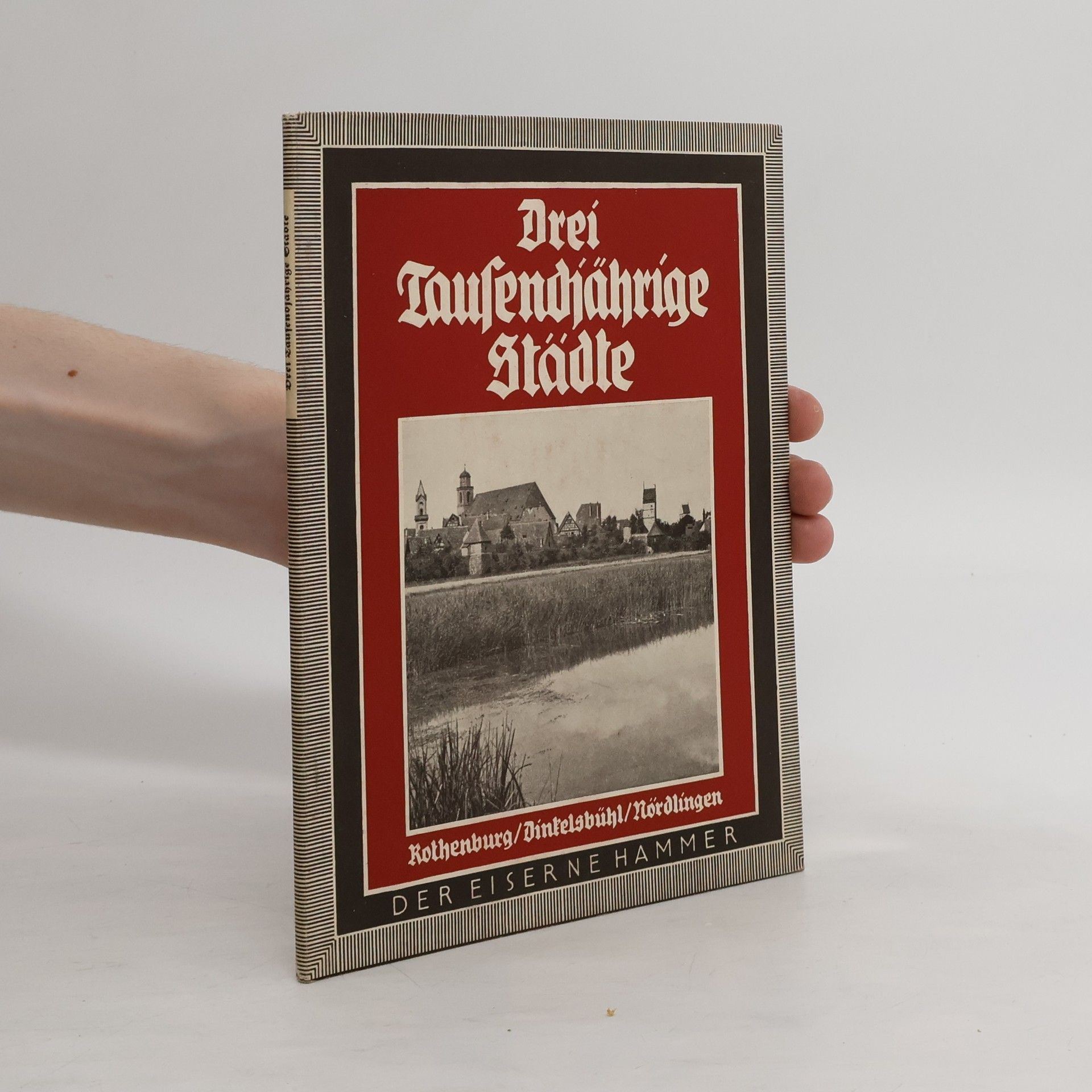 Collectif d'auteurs Drei tausendjährige Städte. Rothenburg, Dinkelsbühl, Nördlingen