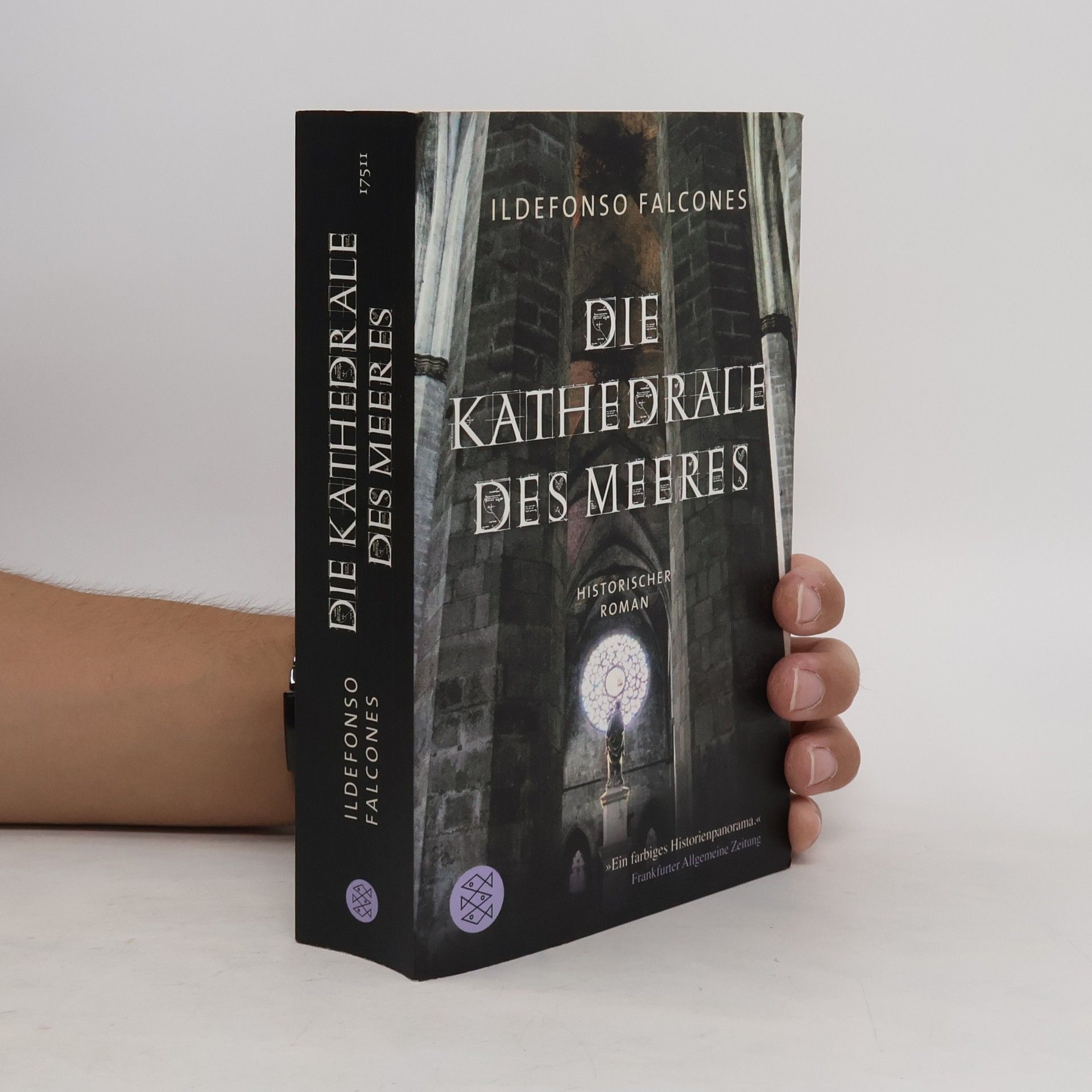 Ildefonso Falcones Die Kathedrale des Meeres