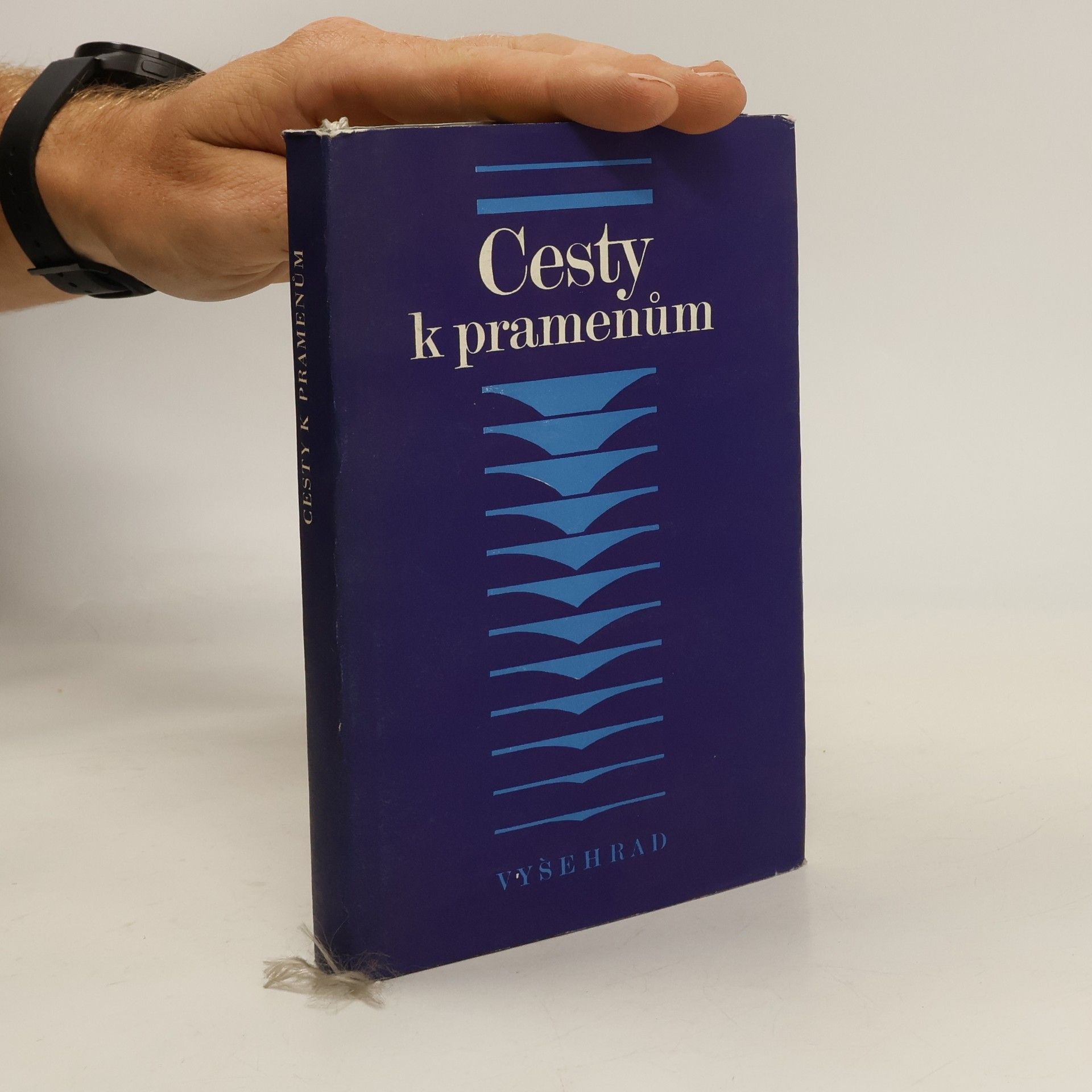 Kurt Schubert Cesty k pramenům