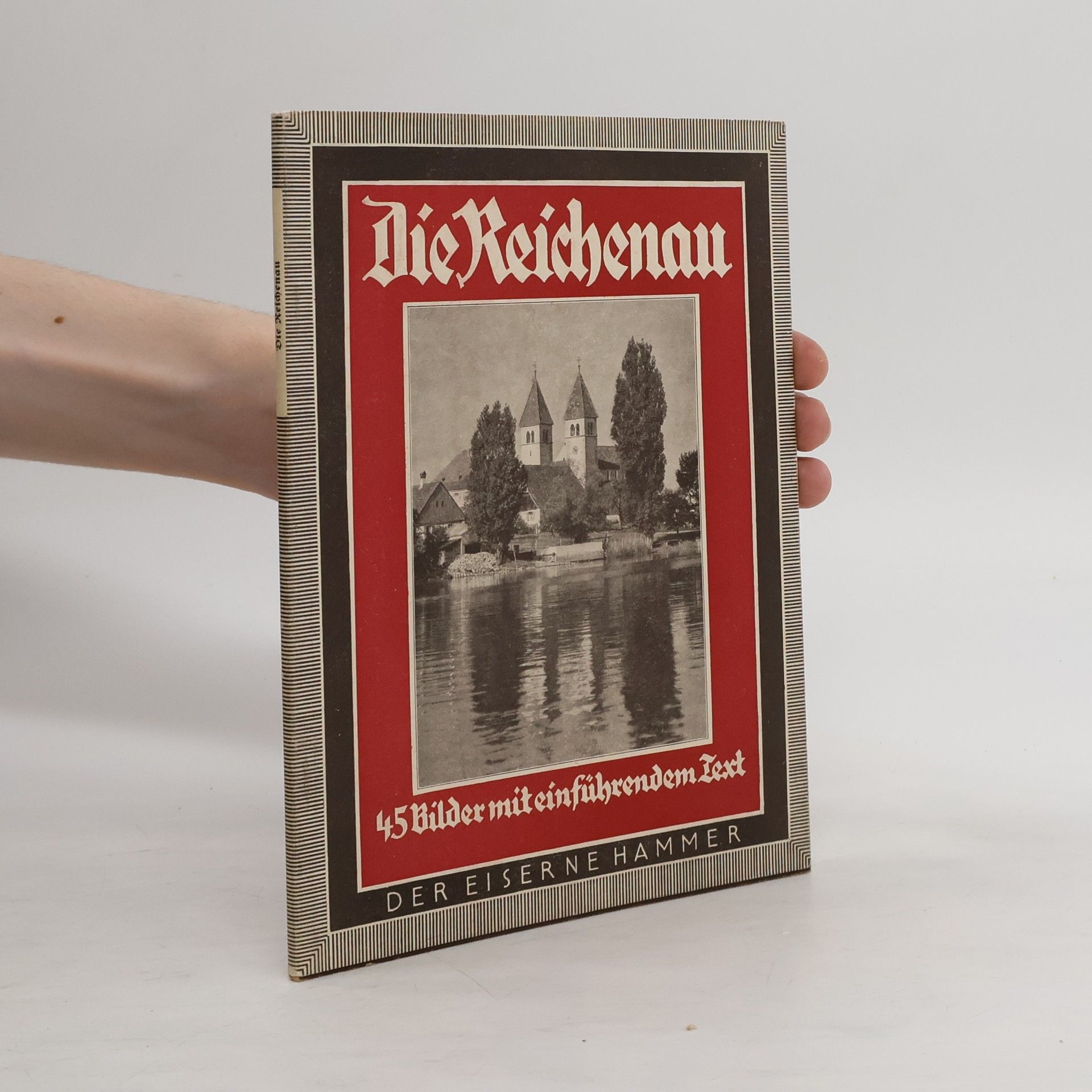 H. W. Hegemann Die Reichenau. 45 Bilder mit einfuhrendem Text