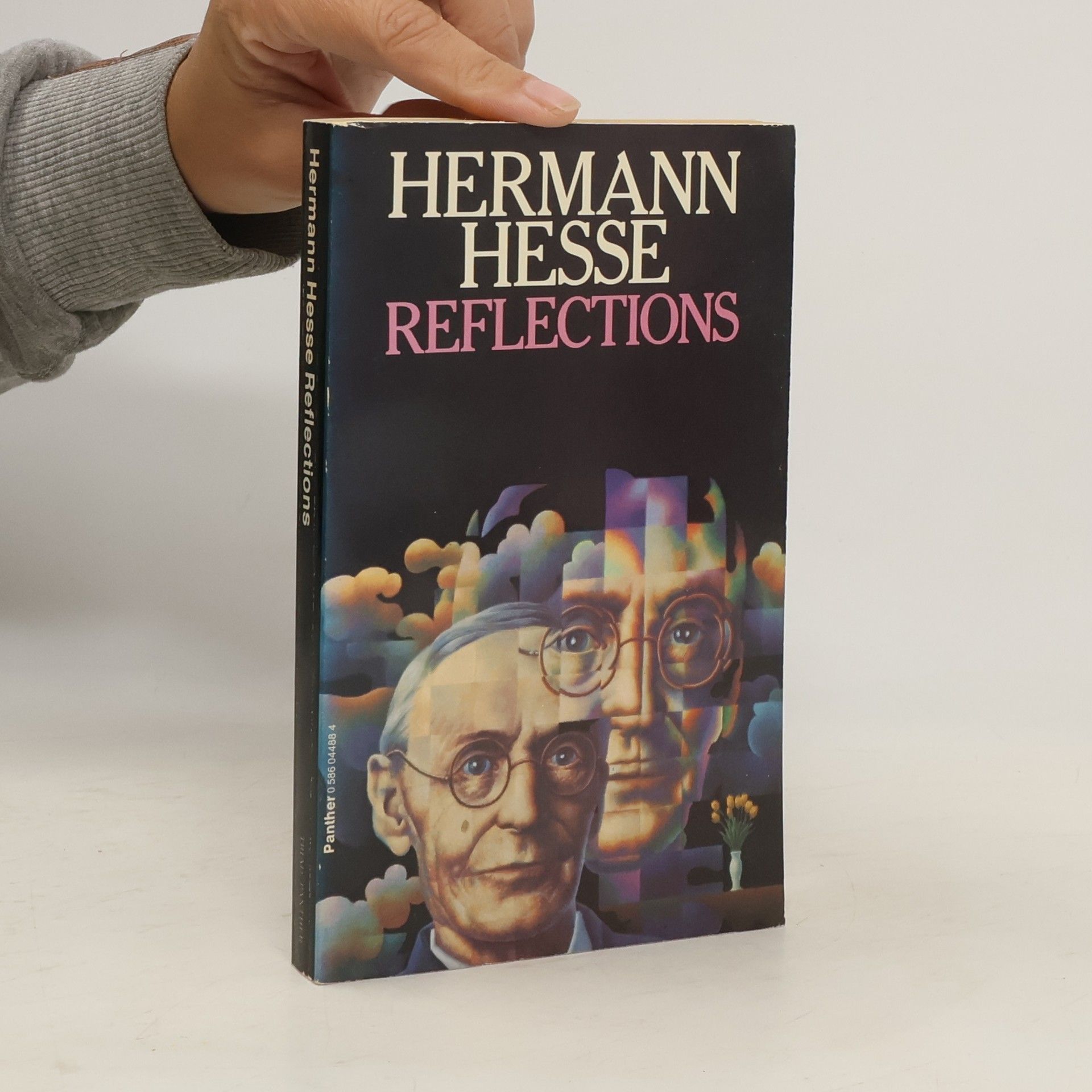 Hermann Hesse Reflections