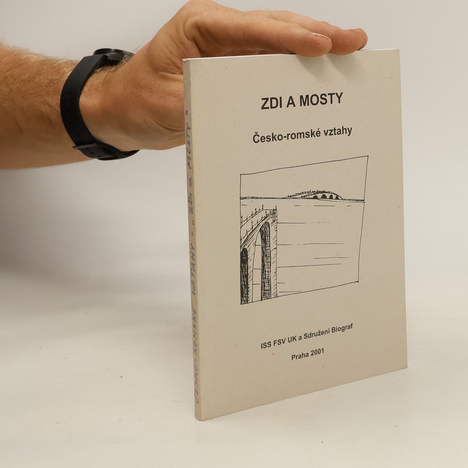 Olga Šmídová Matoušová Zdi a mosty