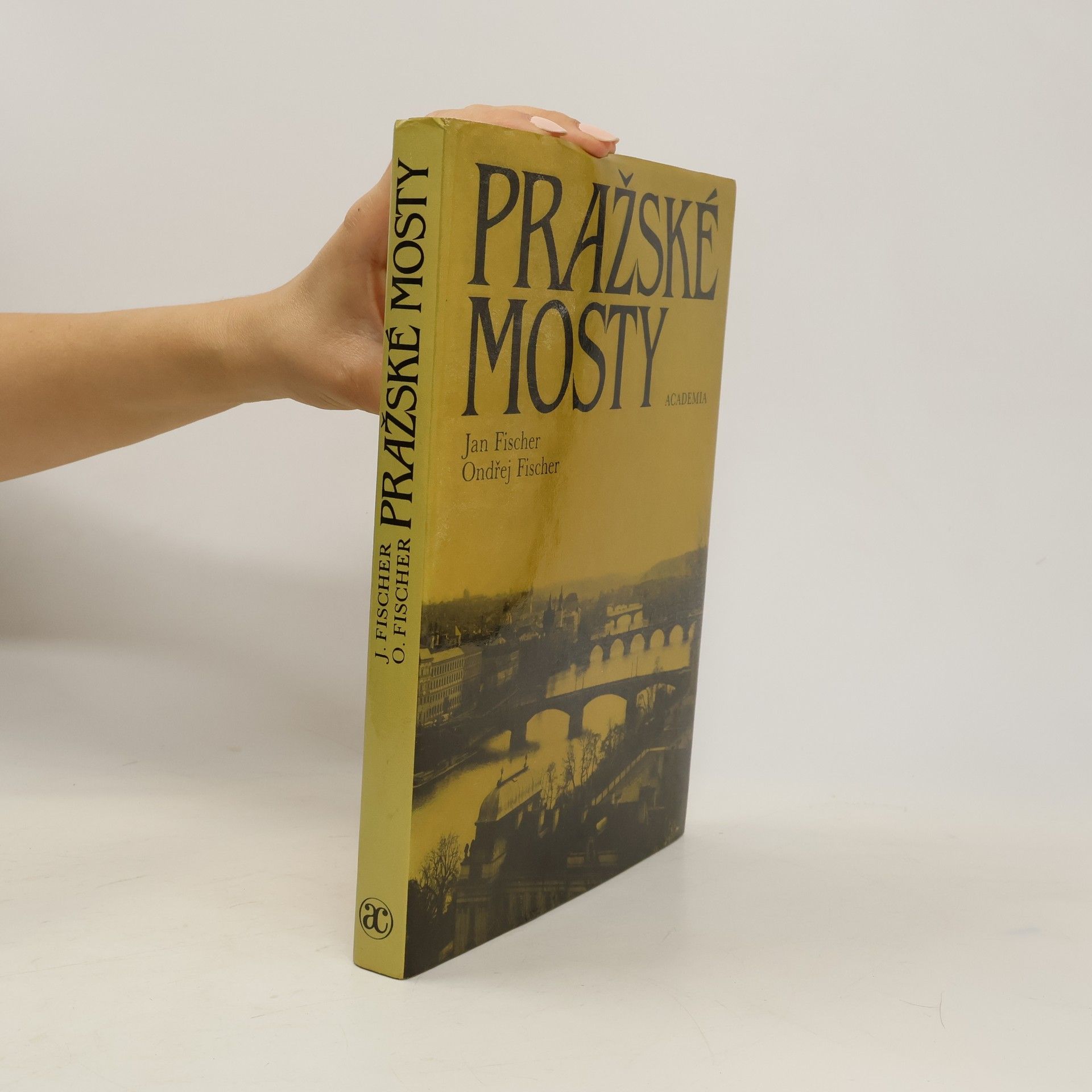 Jan Fischer Pražské mosty