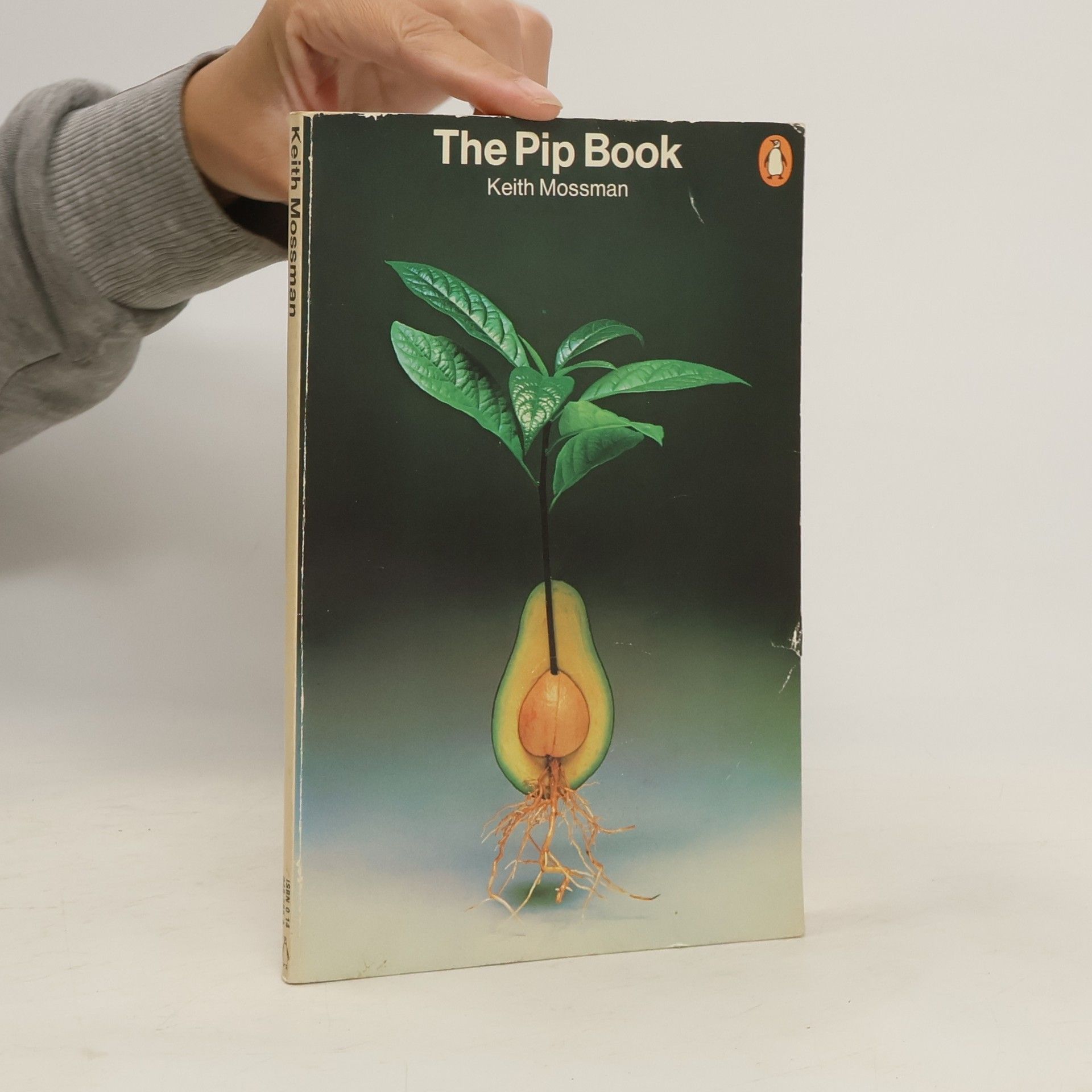 Keith Mossman The Pip Book