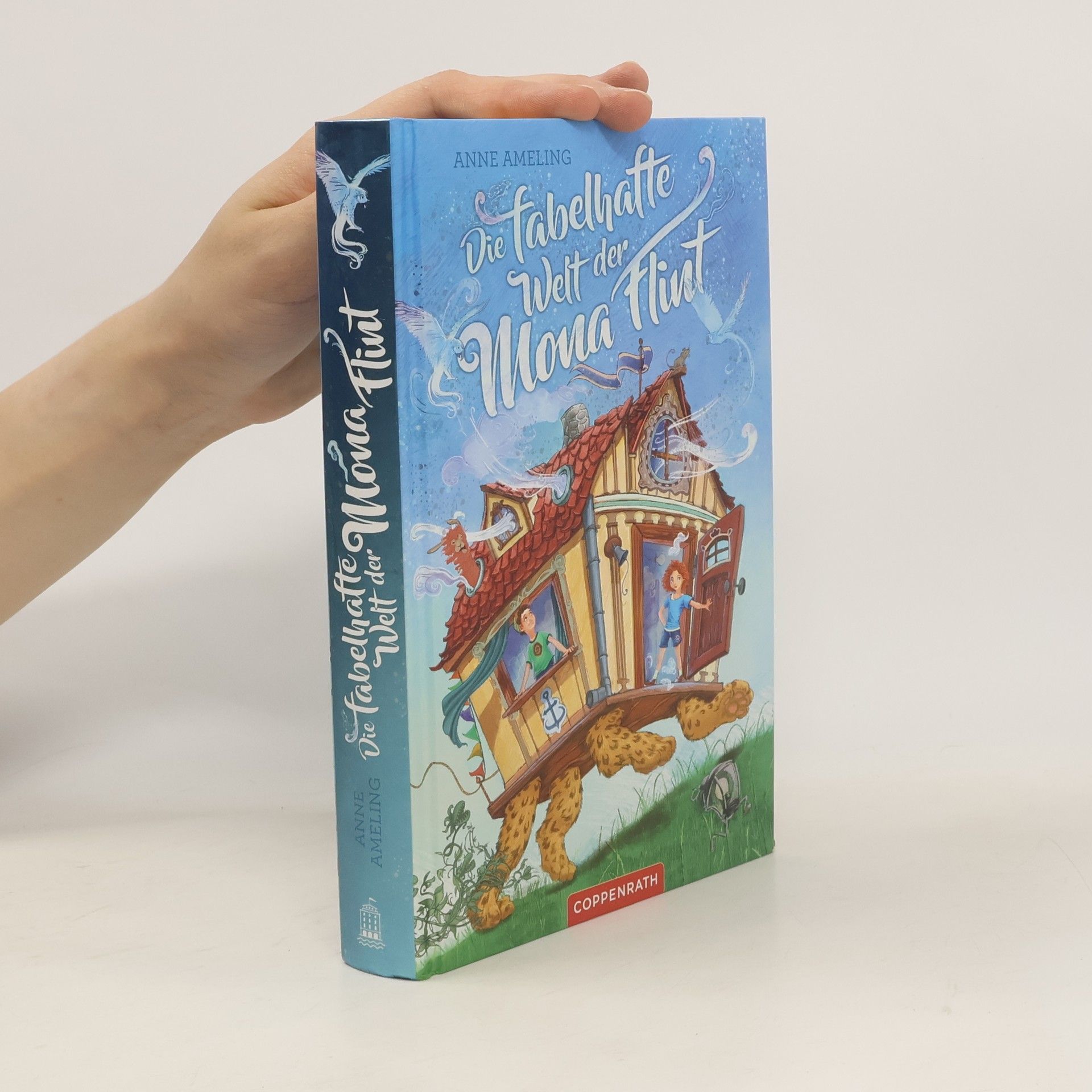 Anne Ameling Die fabelhafte Welt der Mona Flint