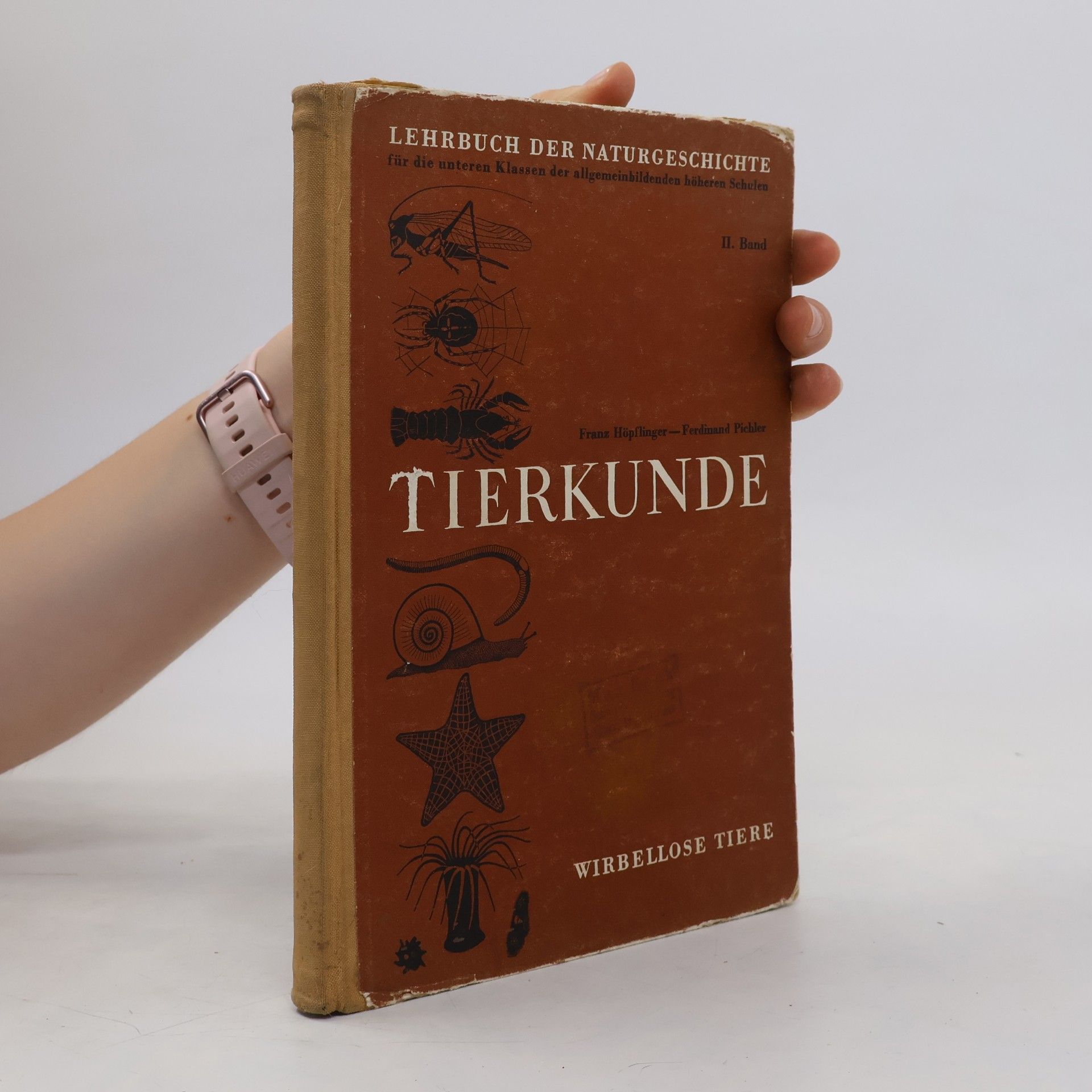 Franz Höpflinger Tierkunde. Wirbellose Tiere