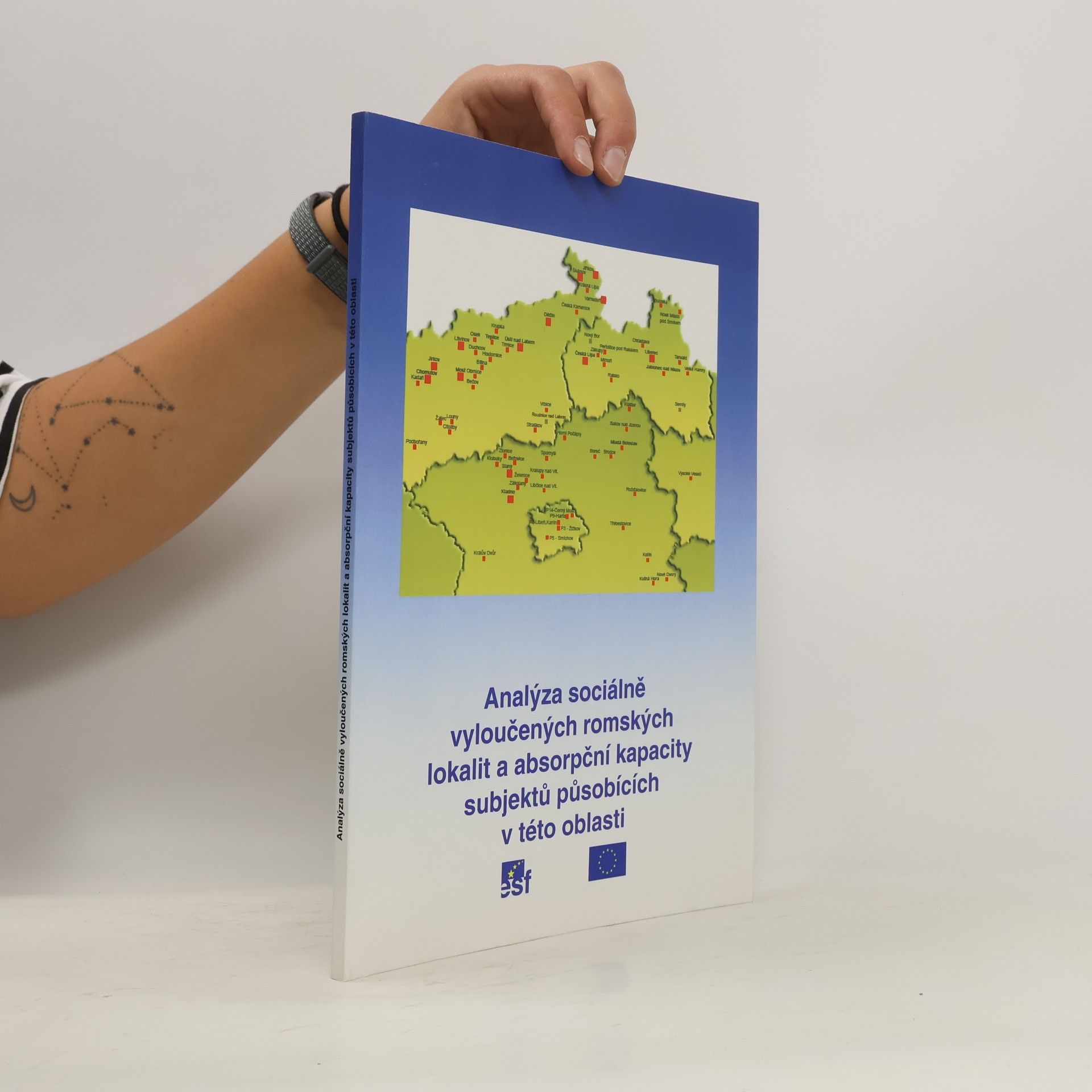 kolektiv Analýza sociálně vyloučených romských lokalit a absorpční kapacity subjektů působících v této oblasti