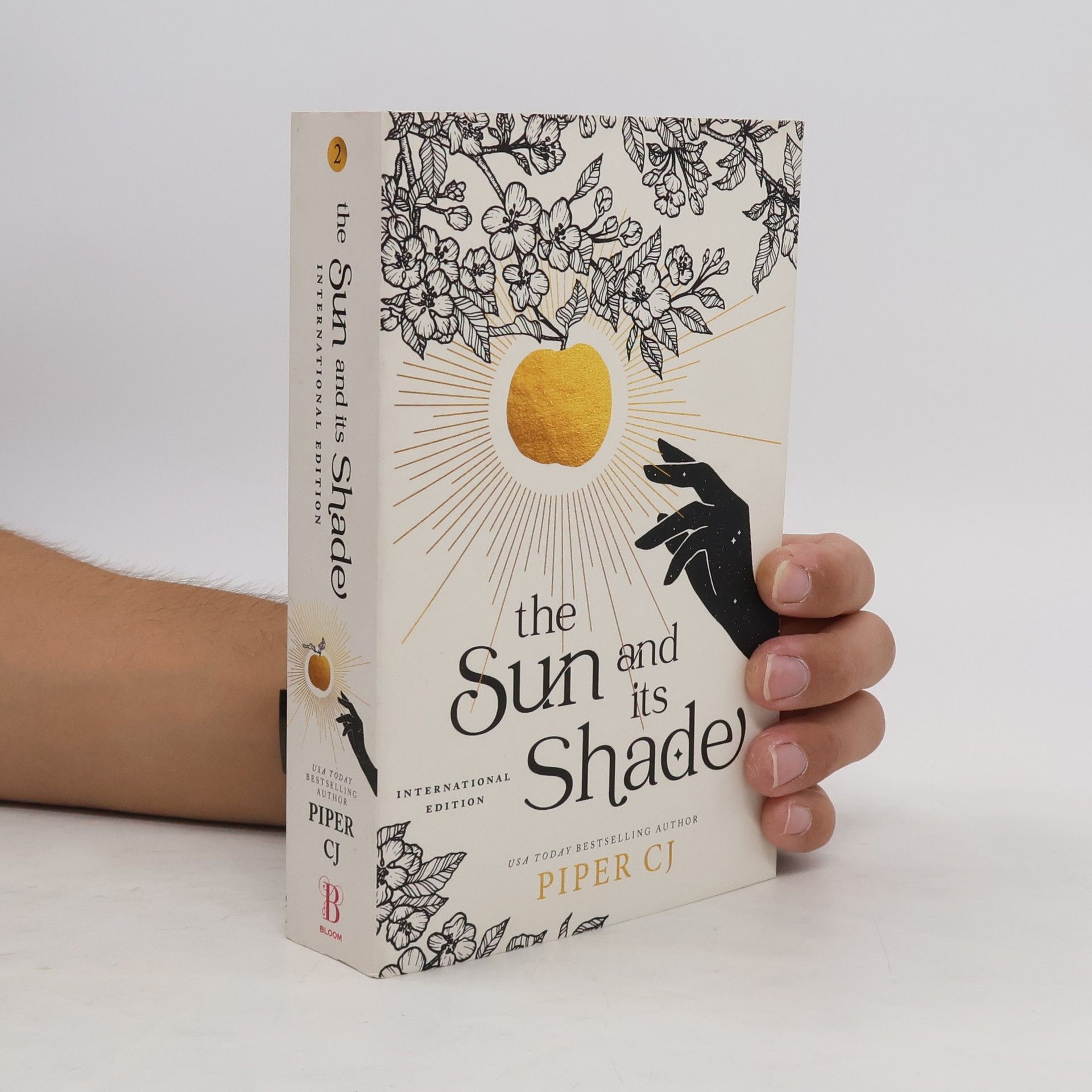 Don Piper The Sun and Its Shade
