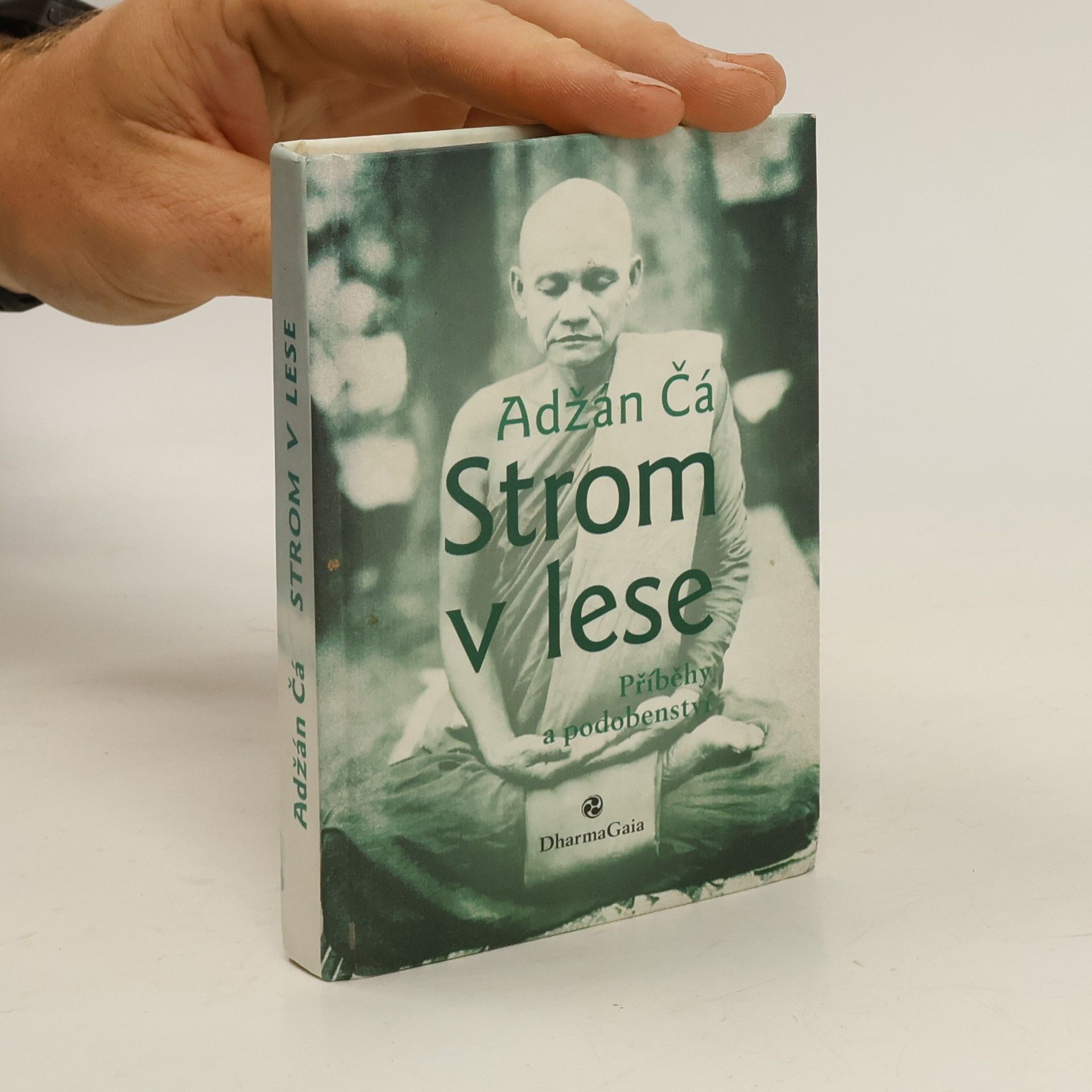 Jiří Černega Strom v lese : příběhy a podobenství