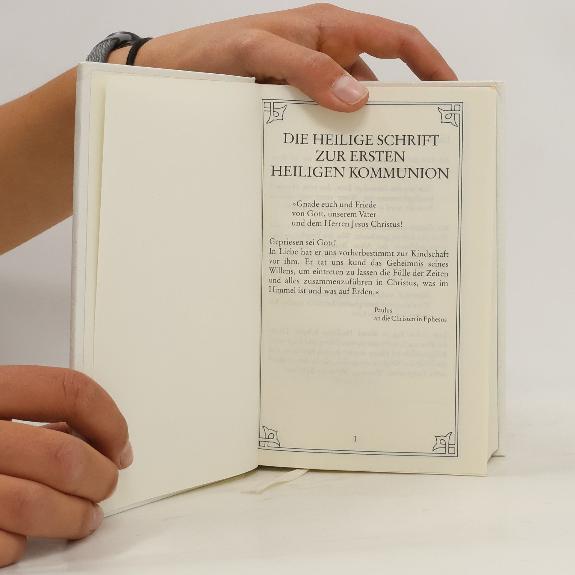 Autorenkollektiv Die Bibel