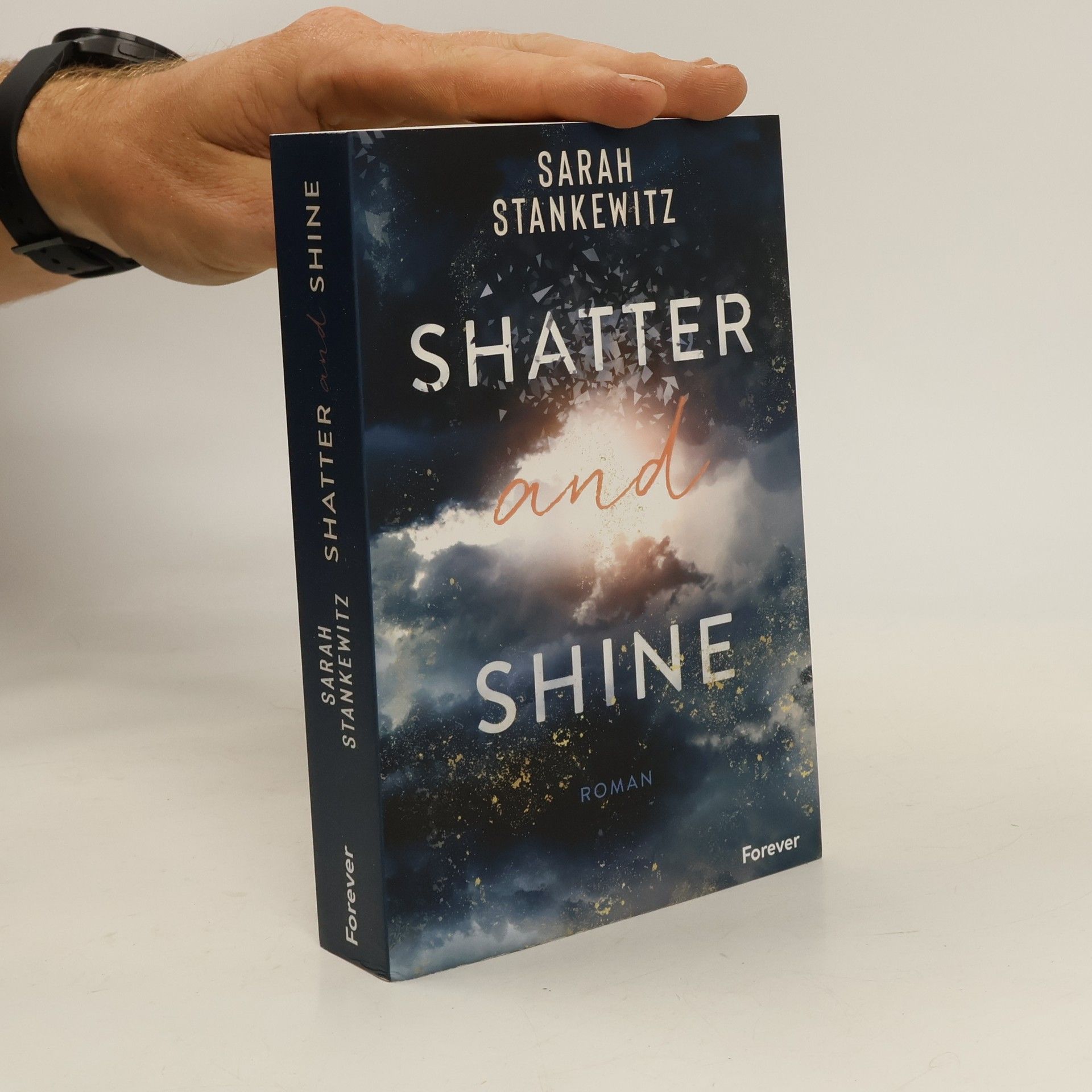 Sarah Stankewitz Shatter and shine