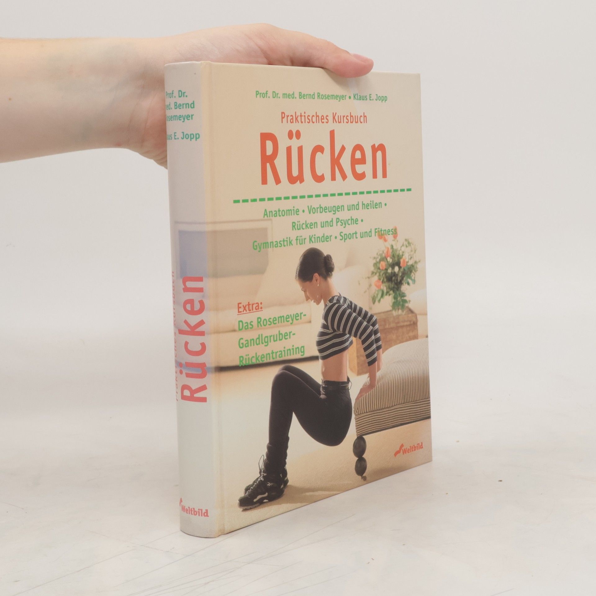 Bernd Rosemeyer Praktisches Kursbuch Rücken