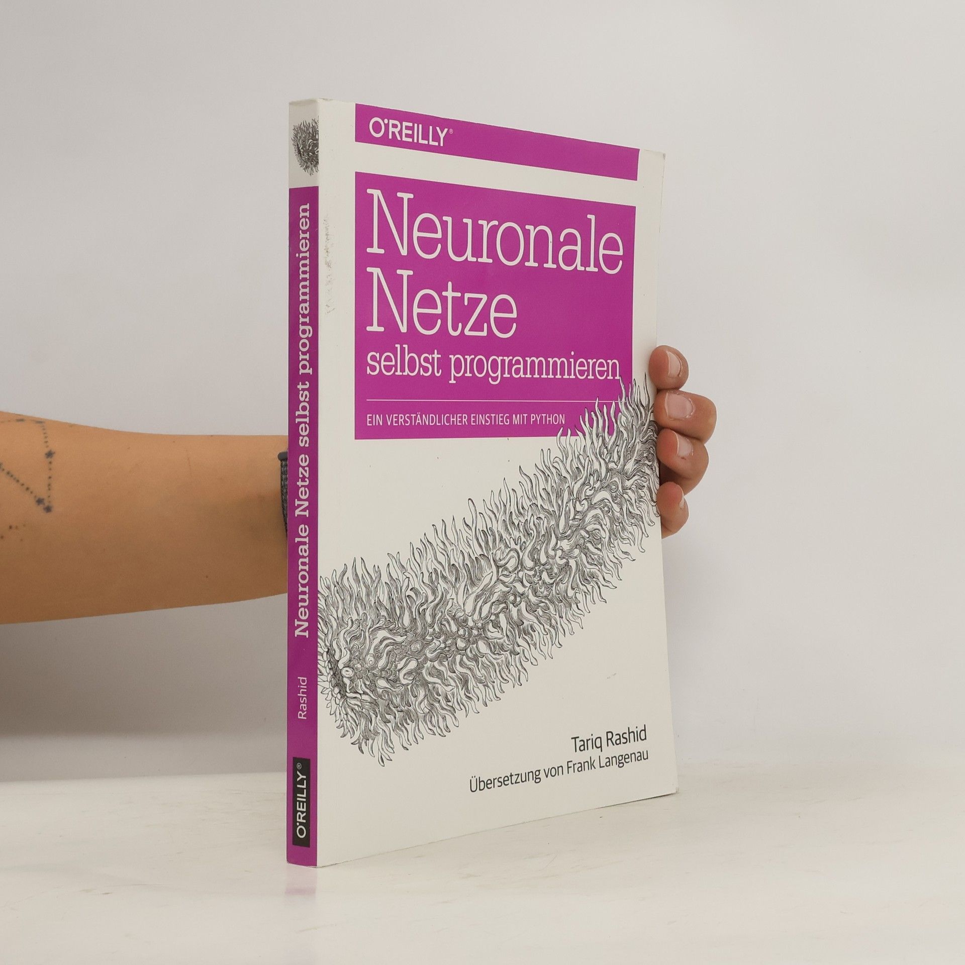 Tariq Rashid Neuronale Netze selbst programmieren