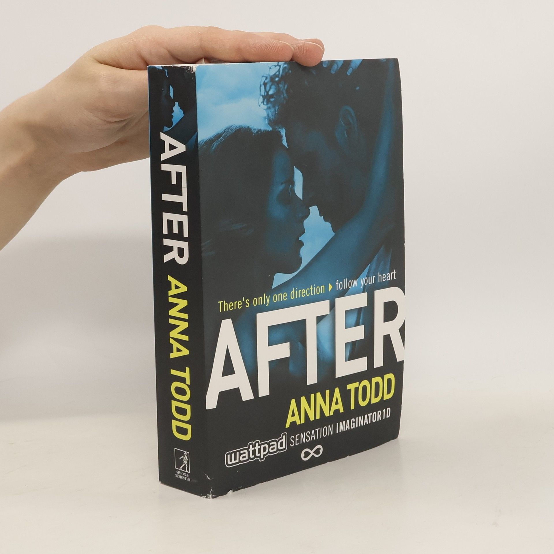 Anna Todd After