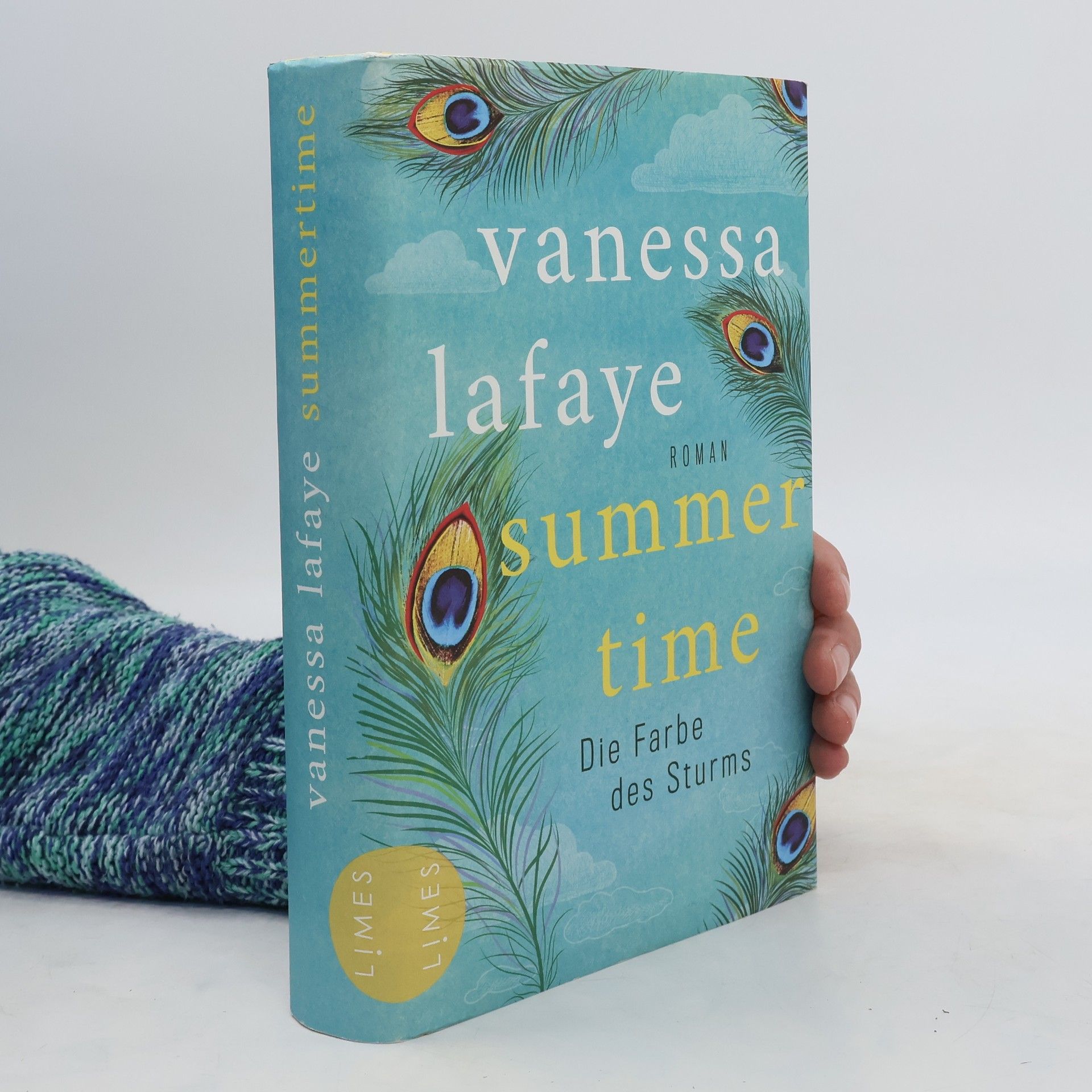 Vanessa Lafaye Summertime - die Farbe des Sturms