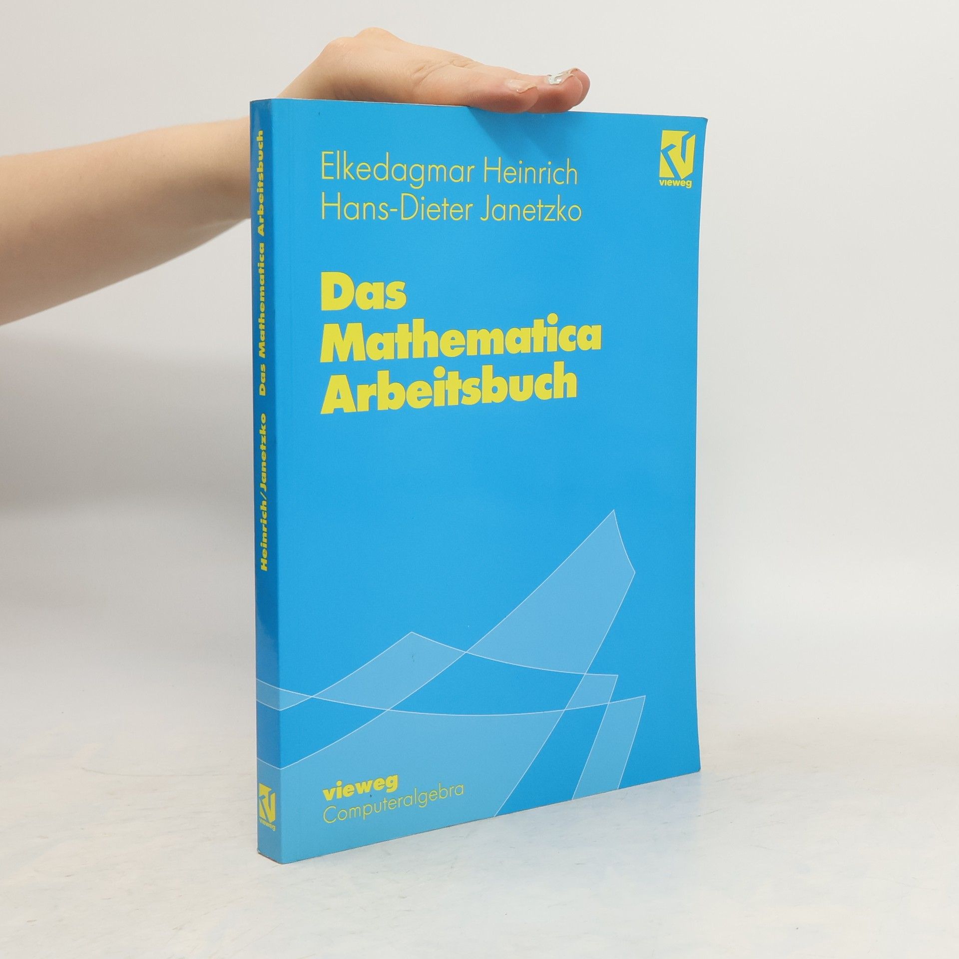 Elkedagmar Heinrich Das Mathematica-Arbeitsbuch
