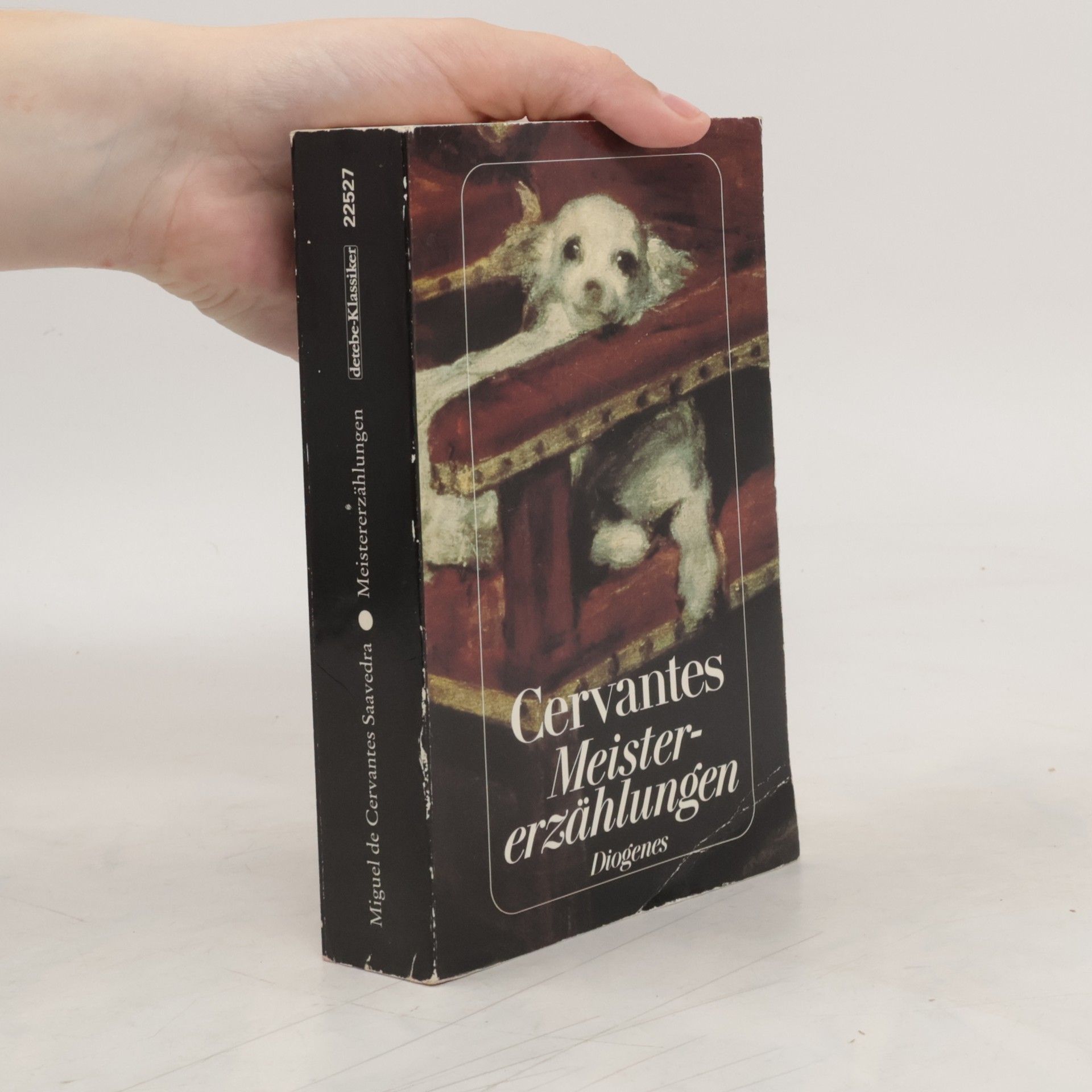 Miguel de Cervantes y Saavedra Meister-erzählungen
