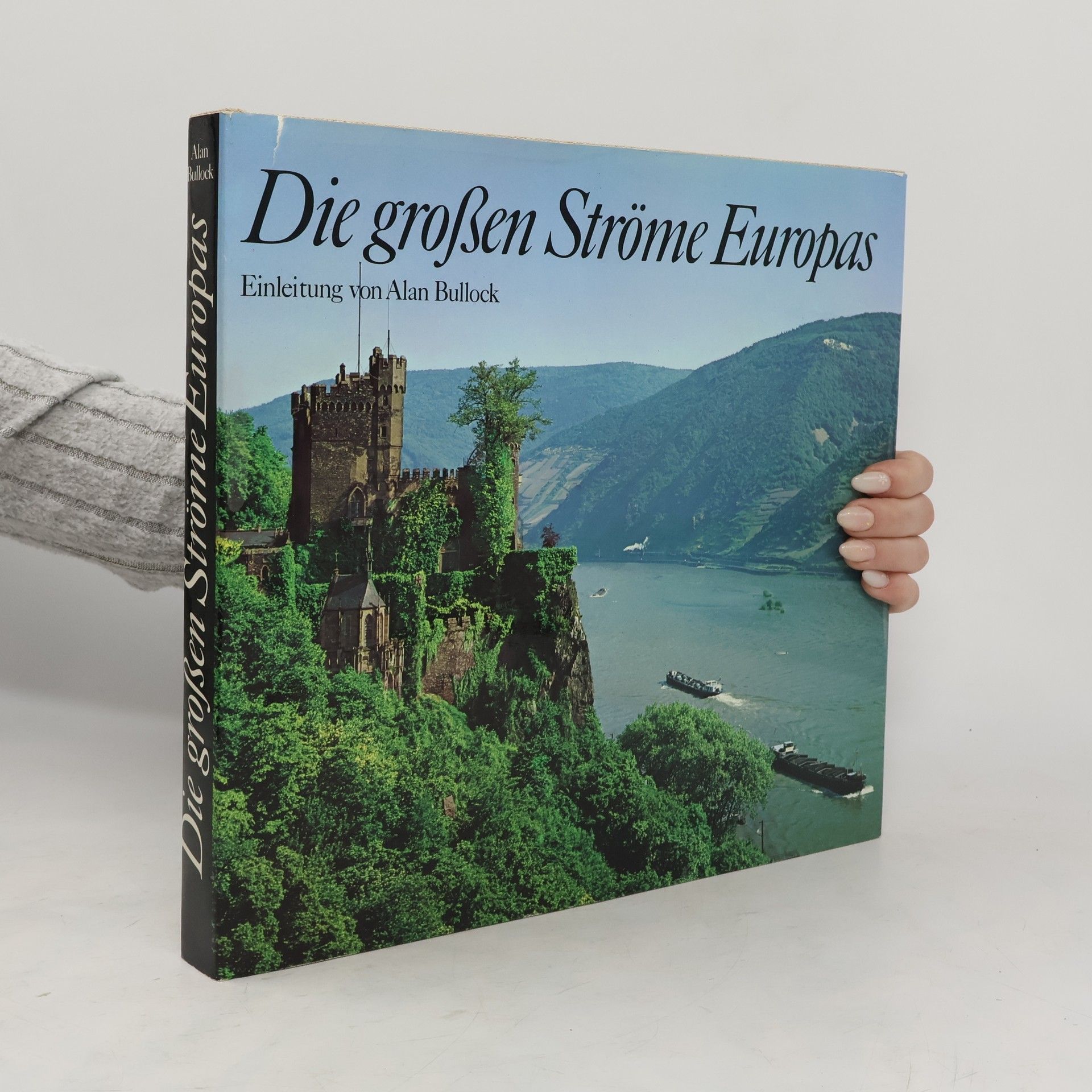 Alan Bullock Die großen Ströme Europas