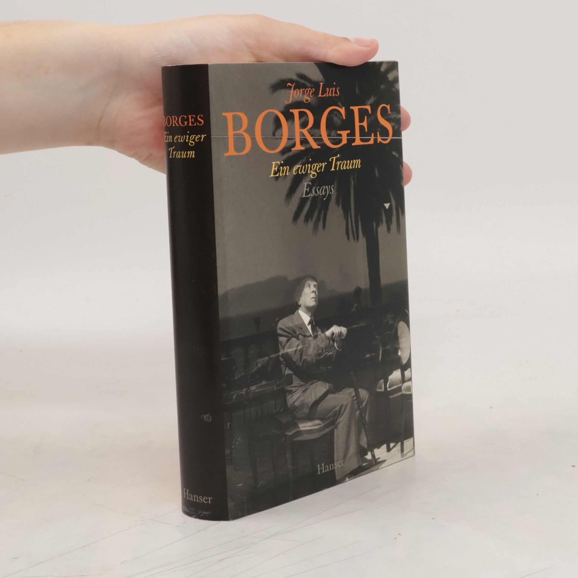Gisbert Haefs Ein ewiger Traum. Essays